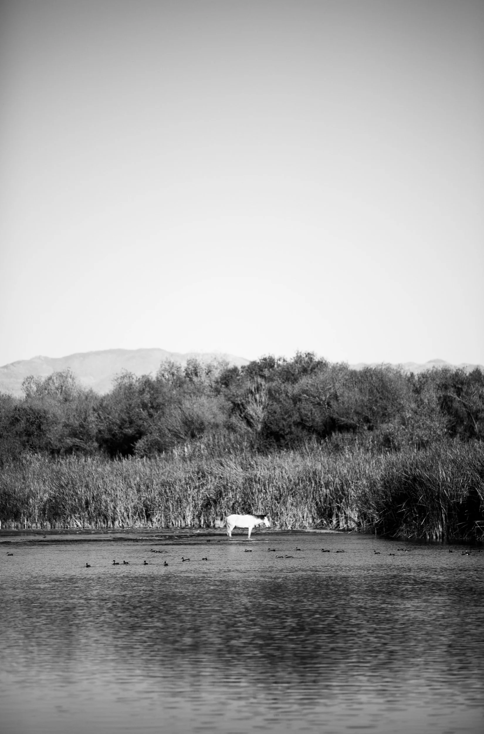 Salt Lake, AZ.
