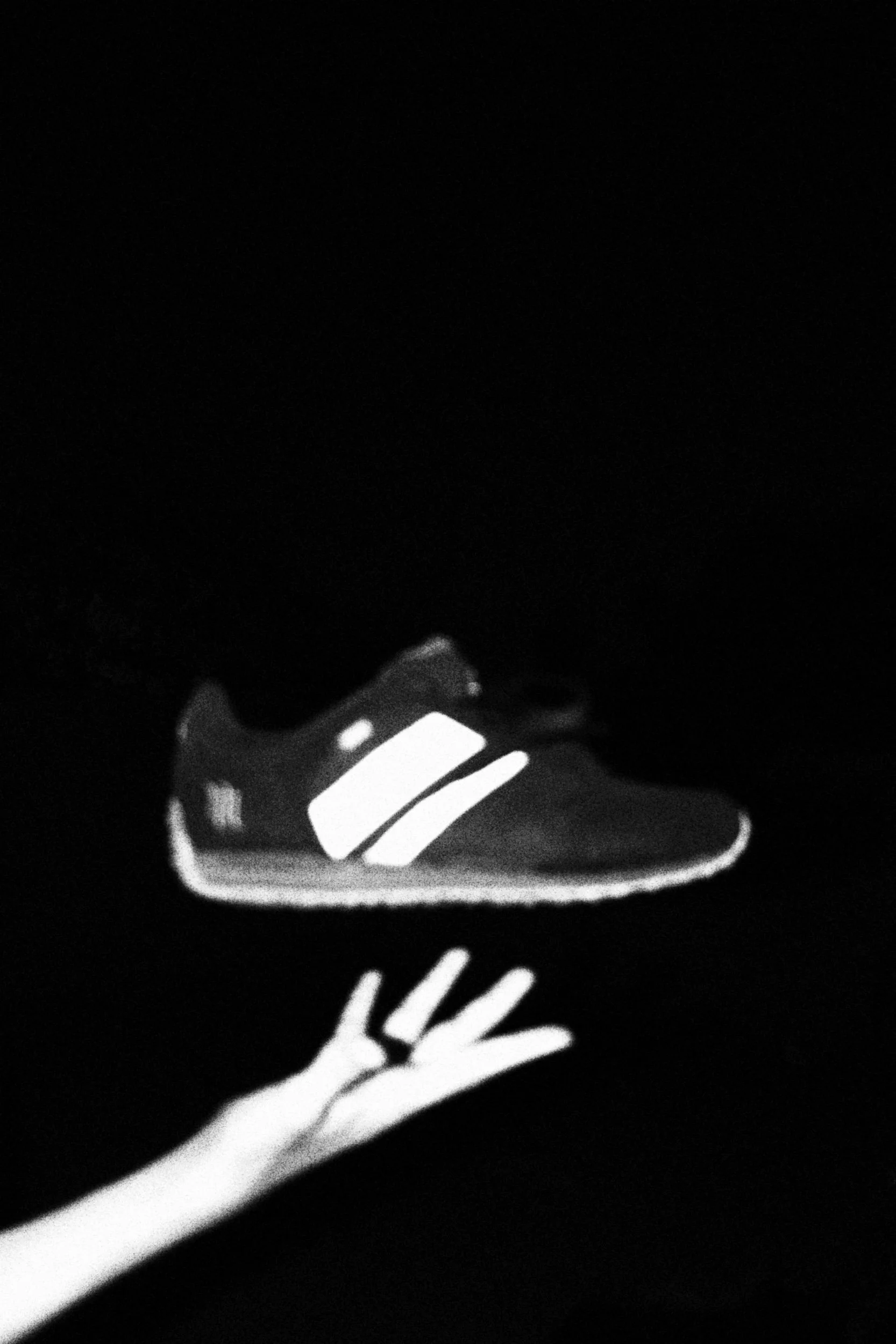 Puma On Film.