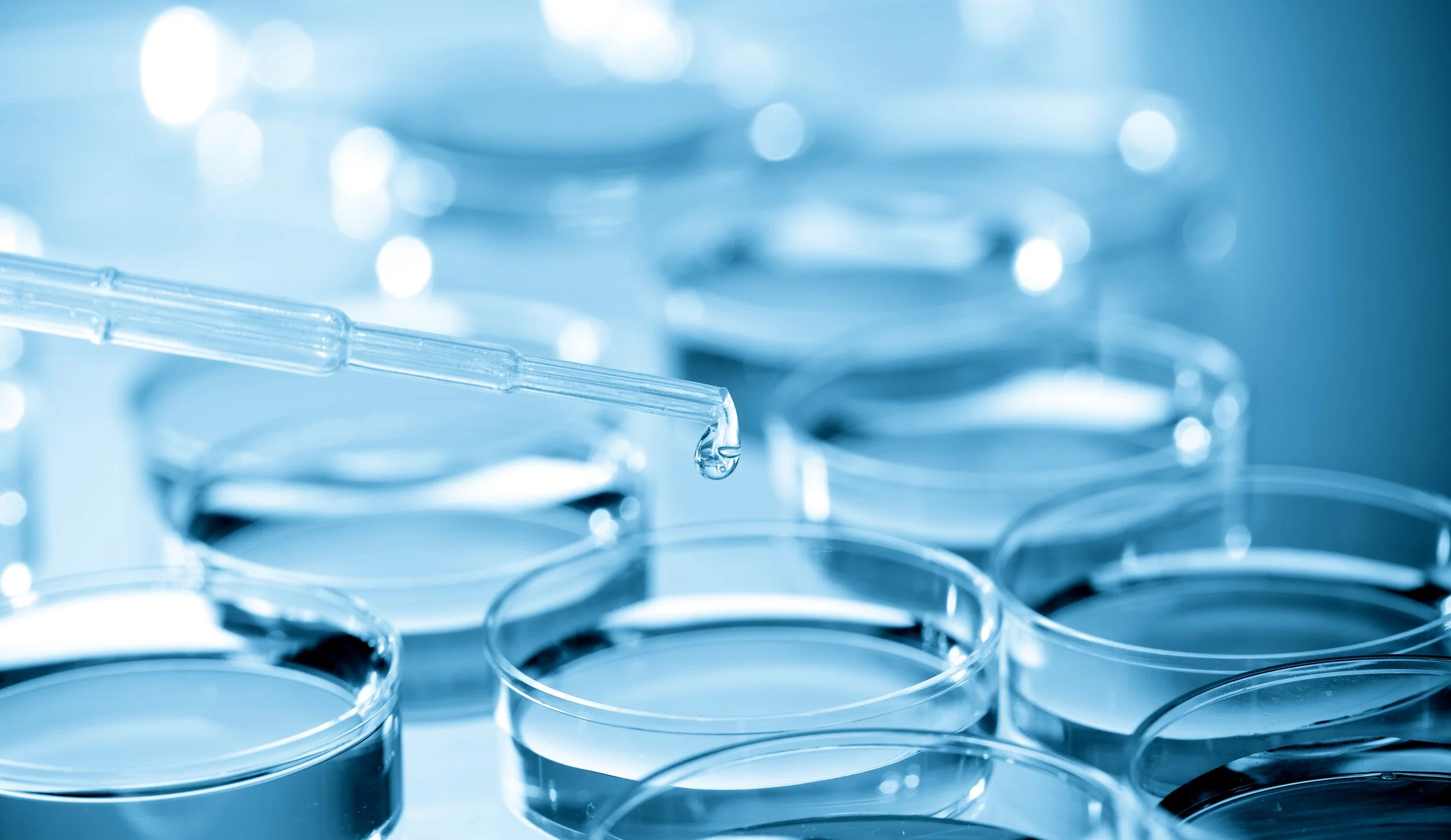 Safe Life Testing Shelf Life Testing — Core Catalyst Food Sciences