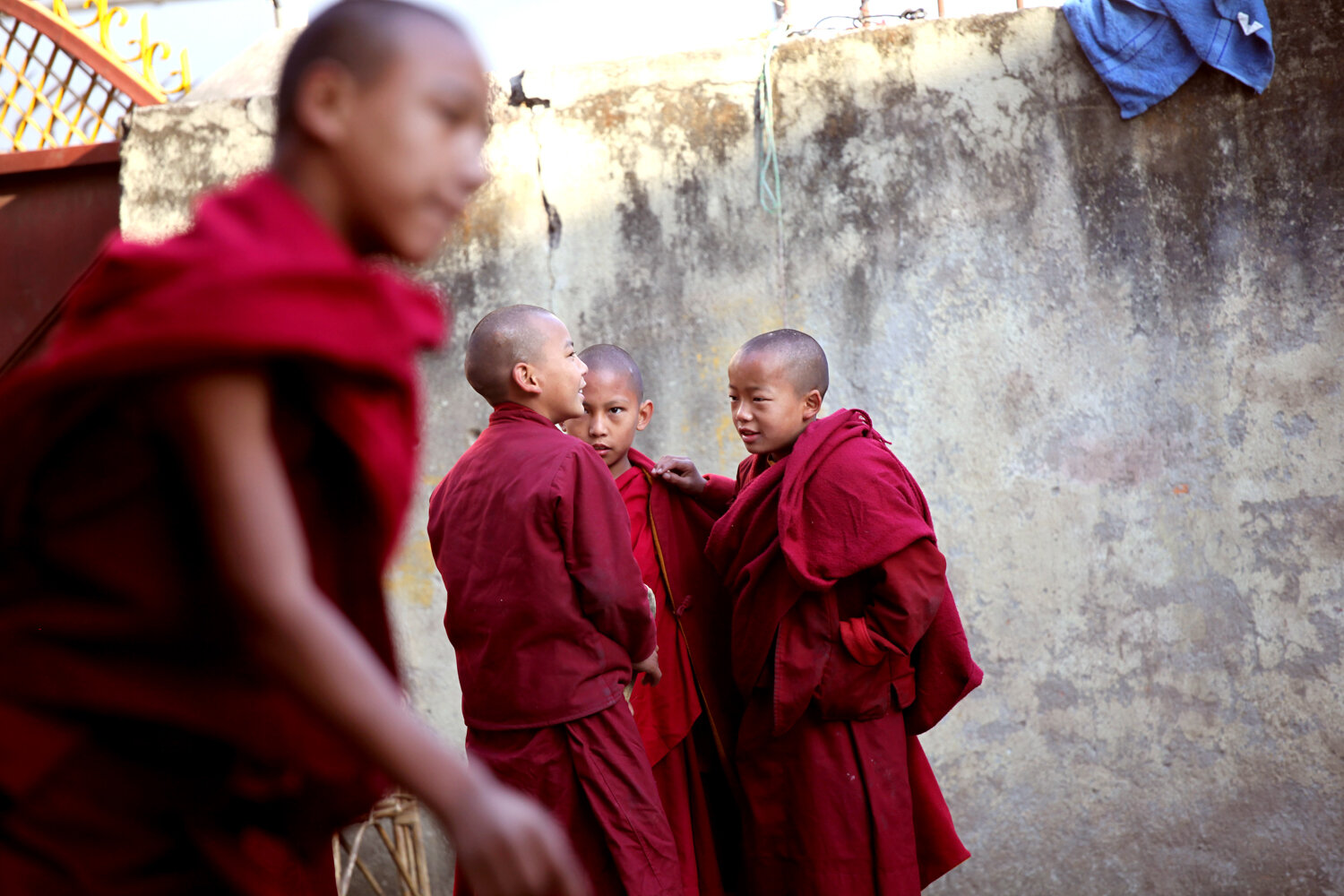 Baby_Monks_Continued_065-web.jpg
