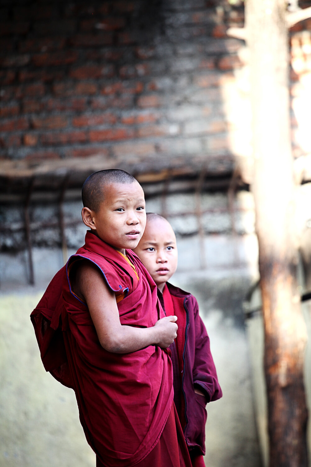 Baby_Monks_Continued_074-web.jpg