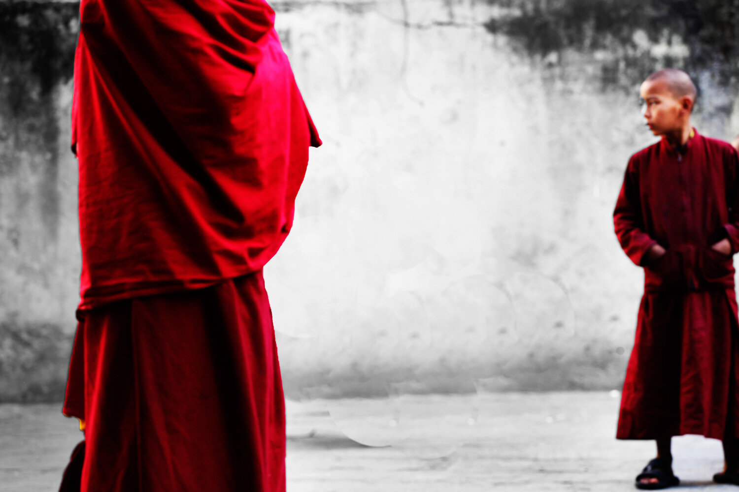 Baby_Monks_Continued_fx02-web.jpg