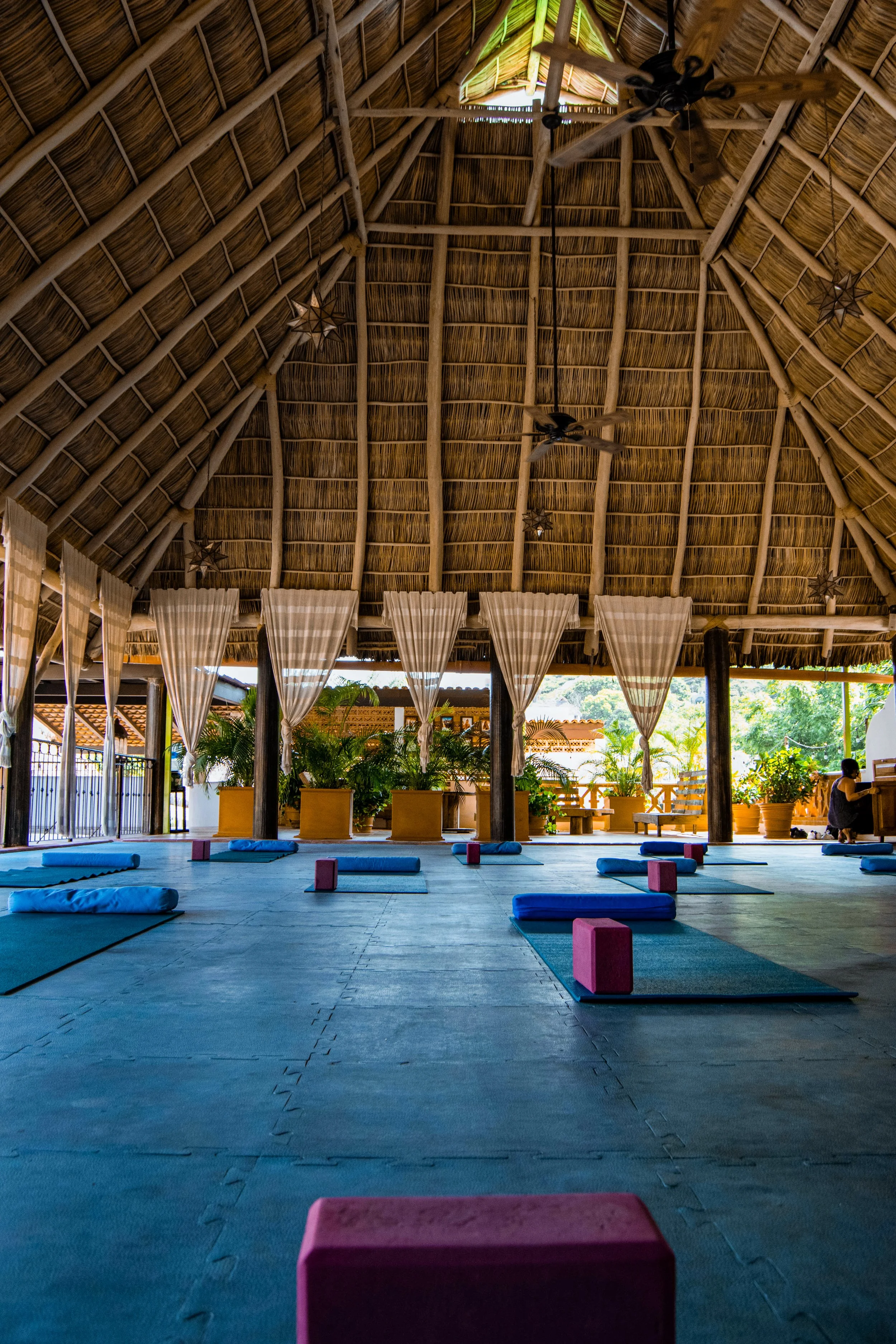 hls shala yoga teacher training.jpg