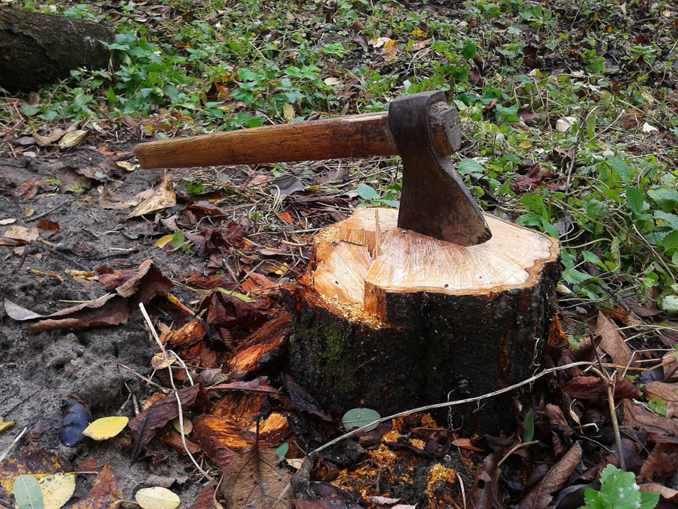 Restoration is Near! // Advent 2 // Remaking: Old Materials, New Form
