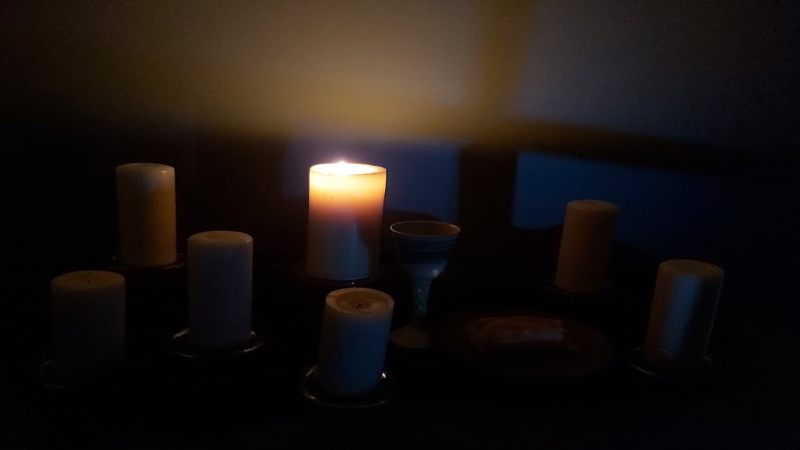 Easter Sunday: Fully Alive