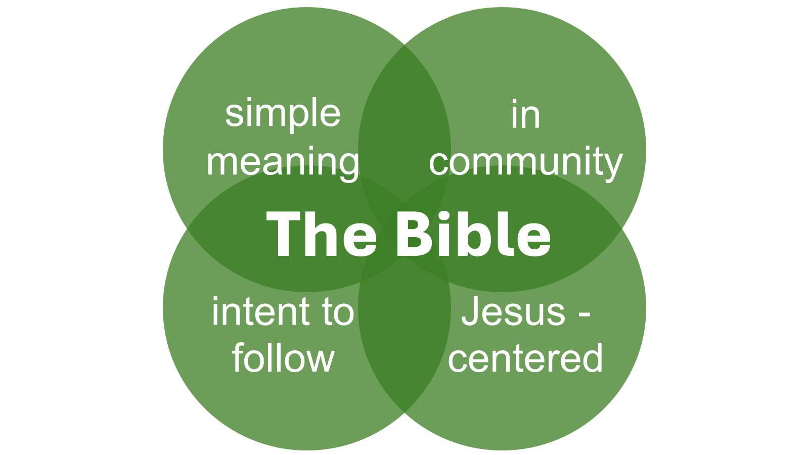 Faith Exploration for Everyone: Reading the Bible through an Anabaptist Lens