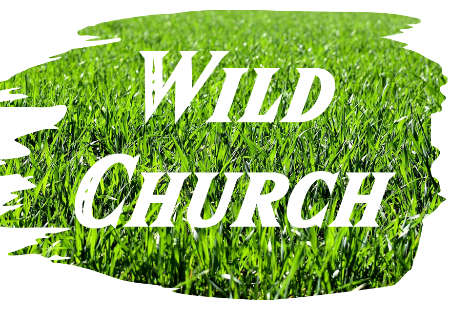 Wild Church: Communion in the Park