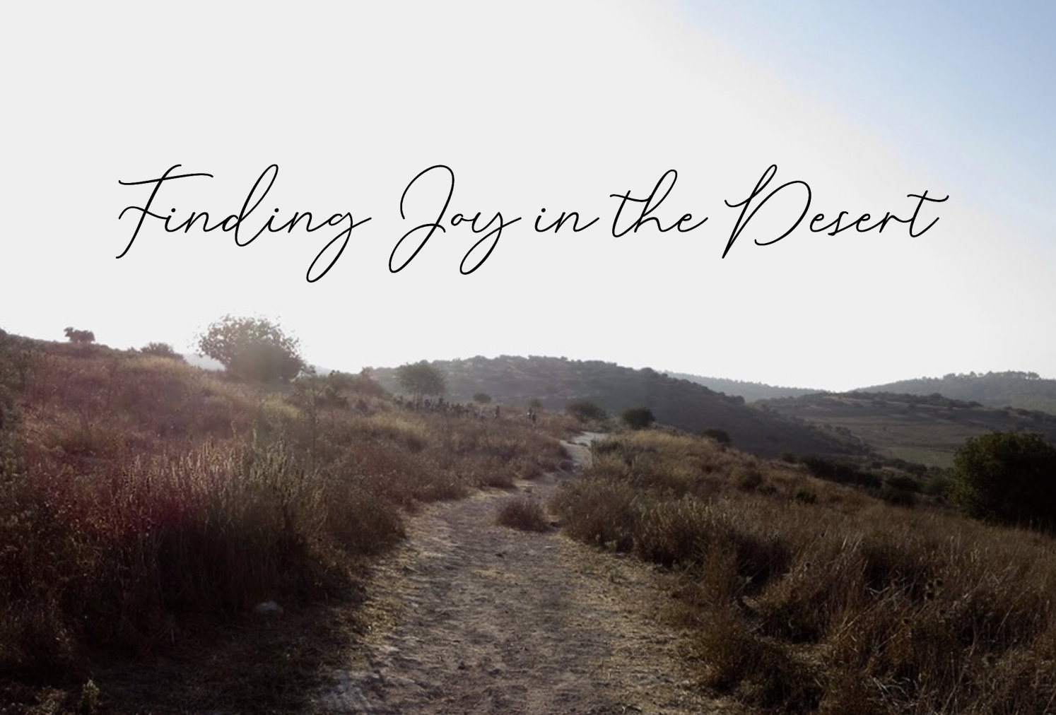 Be Amazed! Joy in the Desert // Advent 3