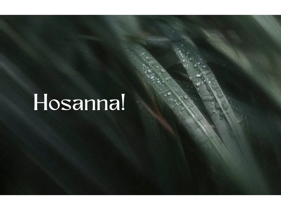 Dwelling in Dissonance: Palm Sunday // Lent 6