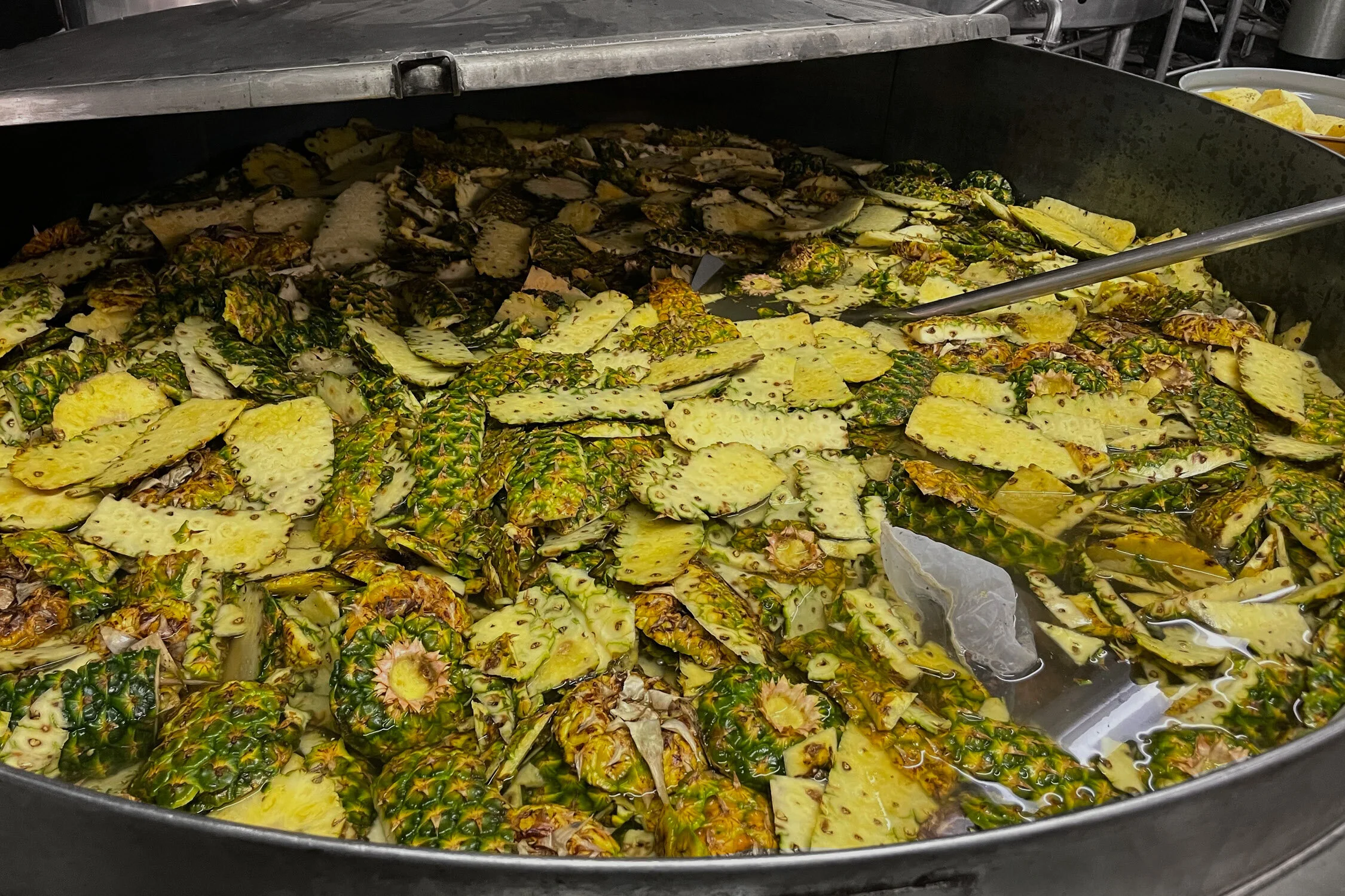 TepacheHiBall_web_cuts_fermenting2.jpg