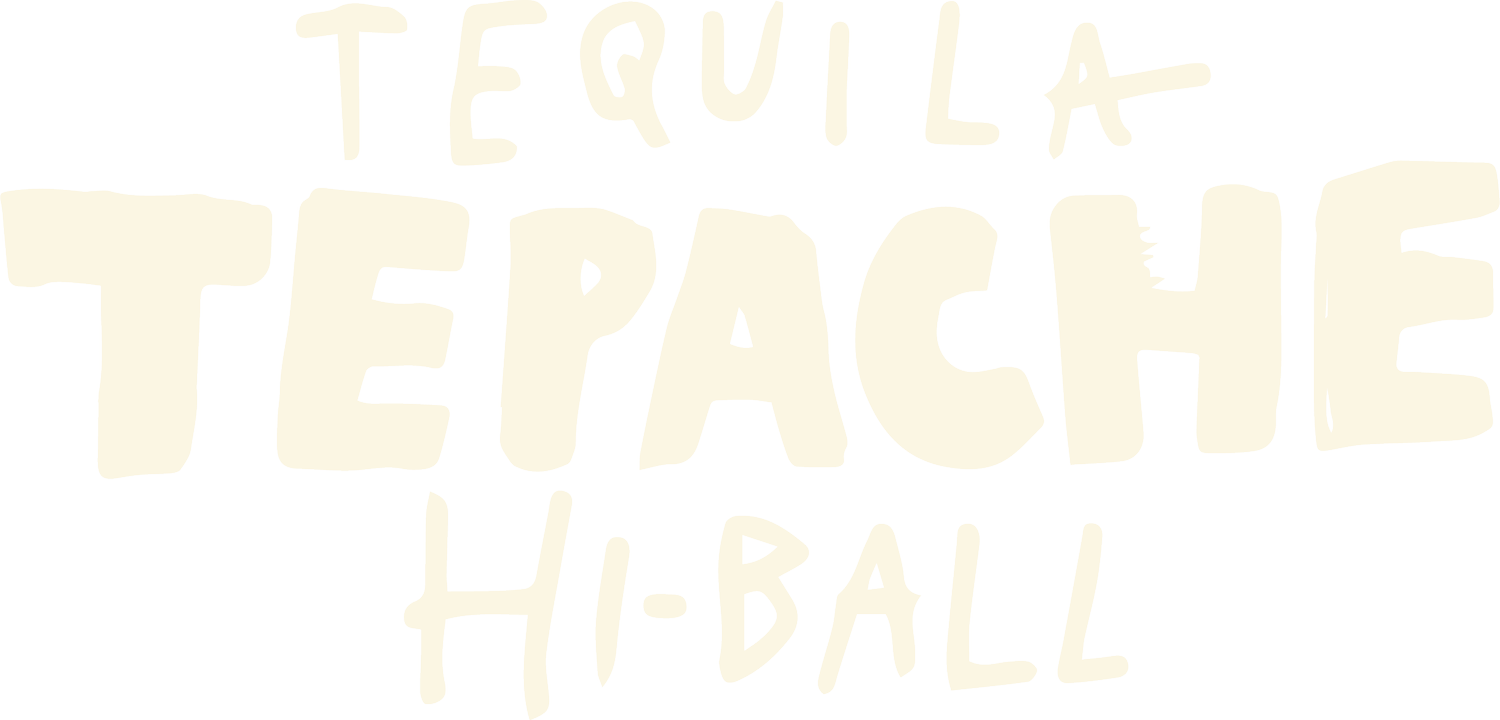 Tepache Hi-Ball