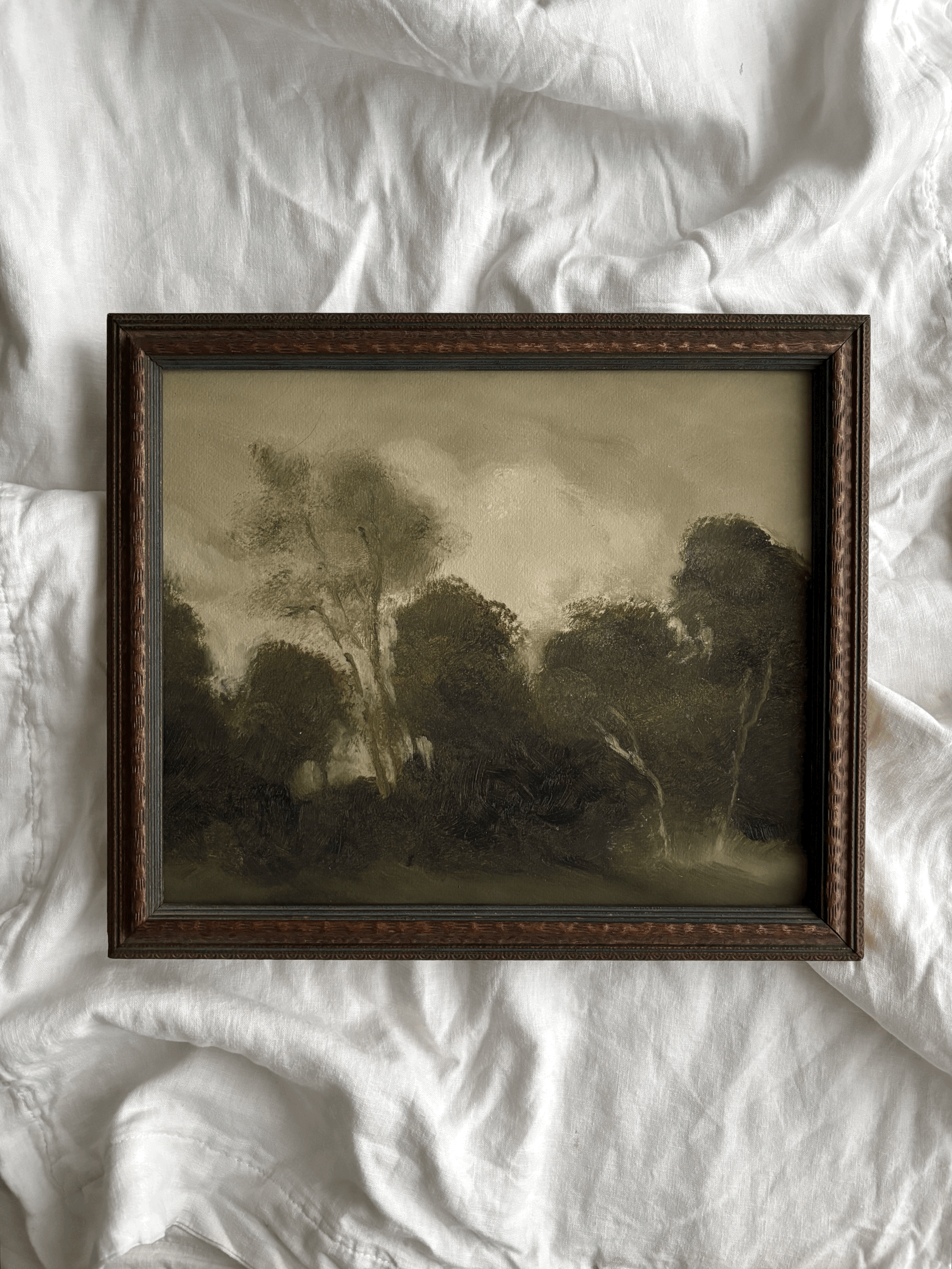 Tom's woods vol. 2 (framed print)