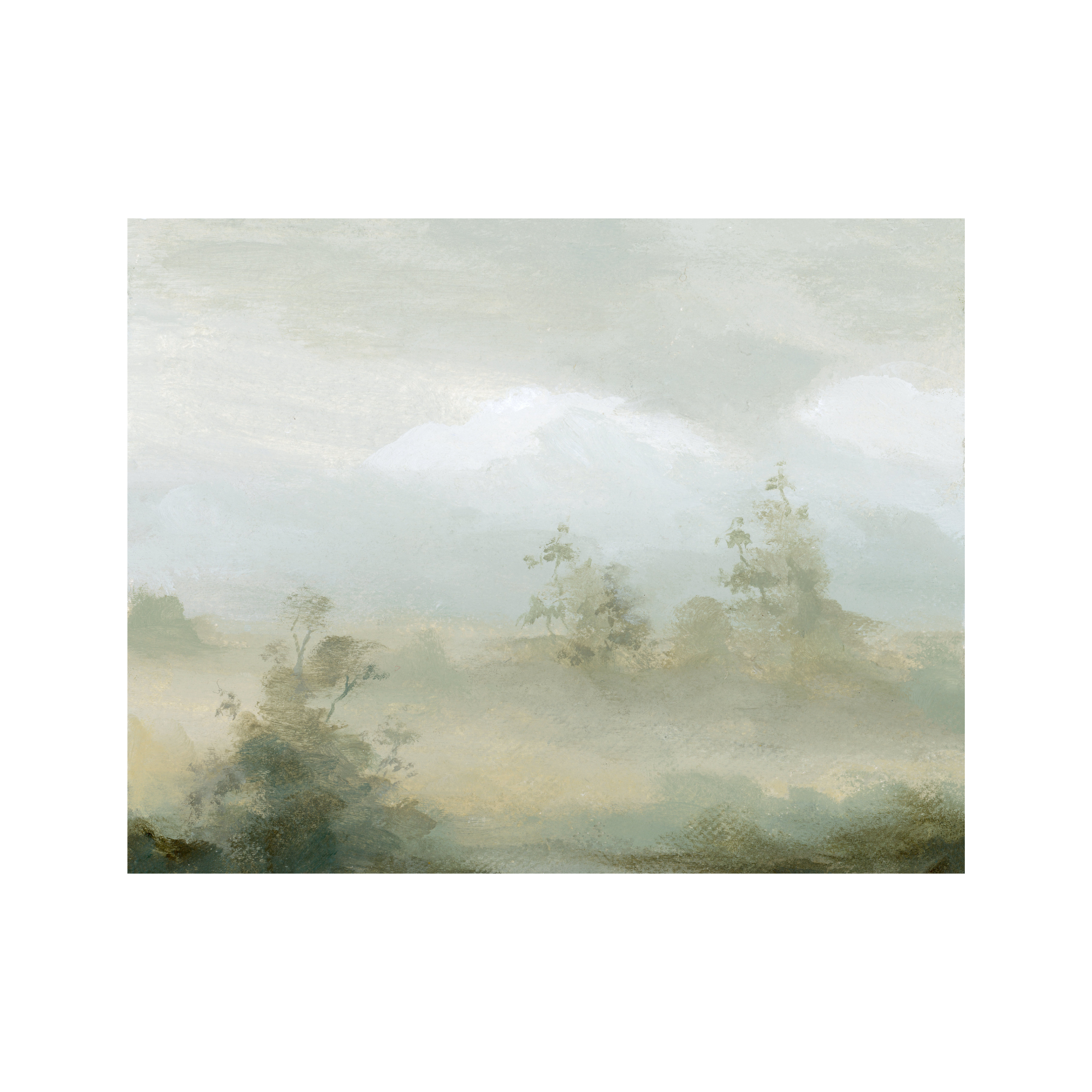 Misted