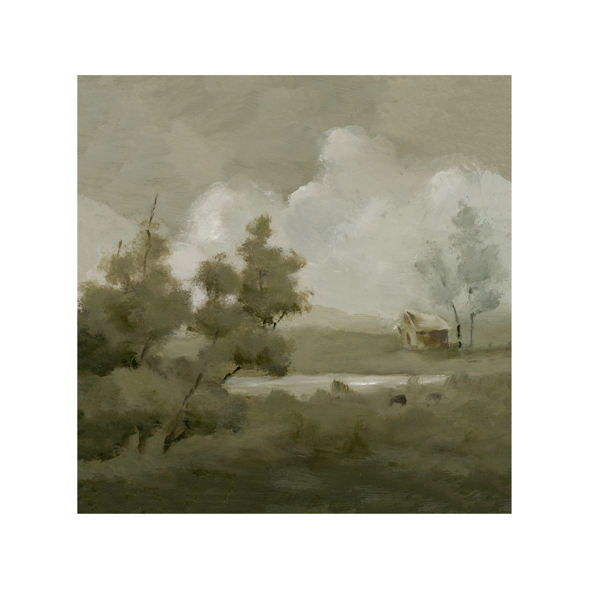 Dairy Fields