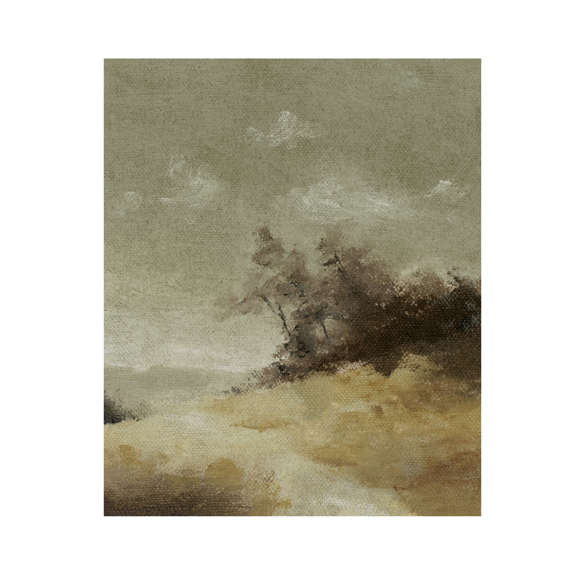The Shore