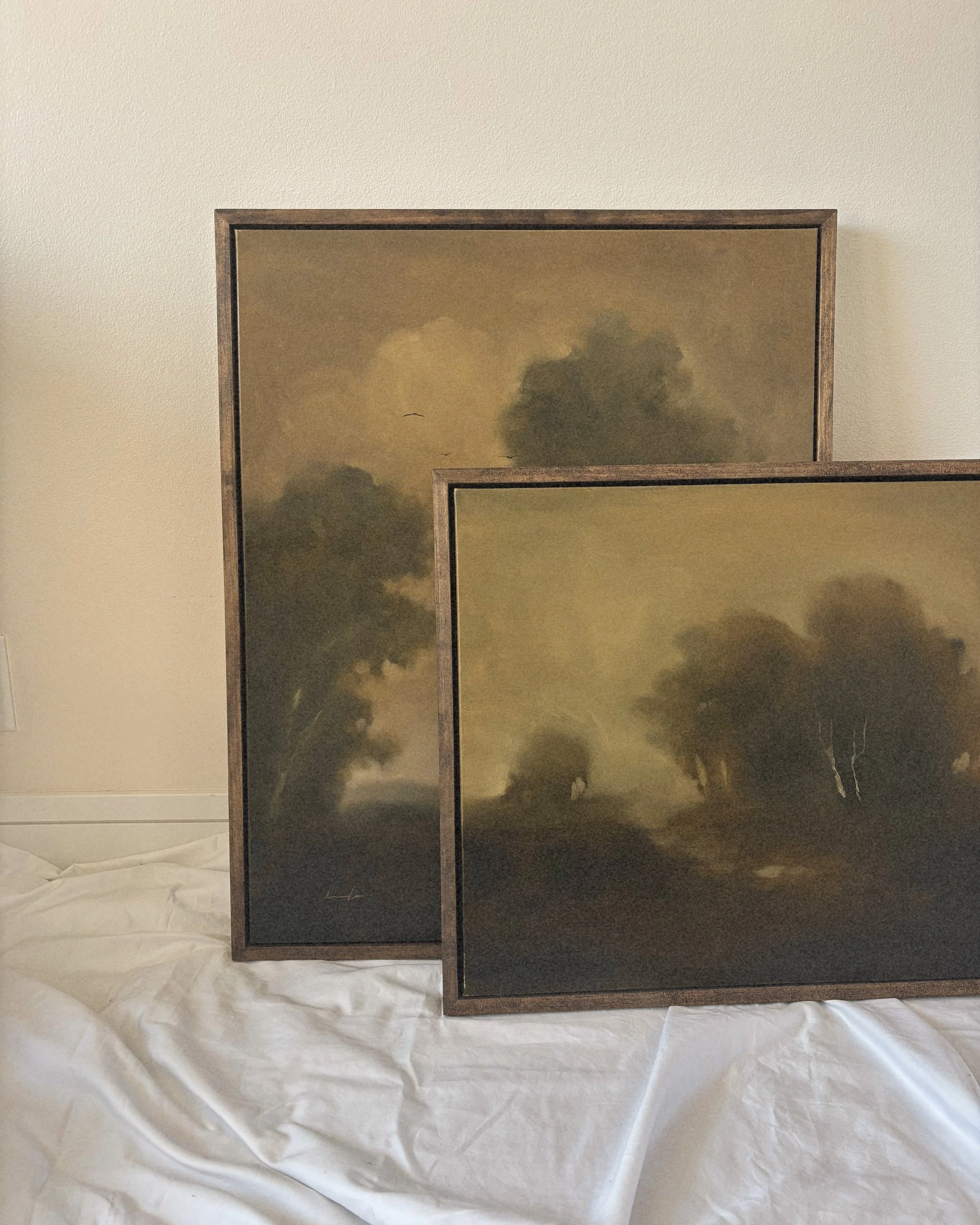 Two framed landscape paintings of cloudy skies and birds hanging on a plain wall.