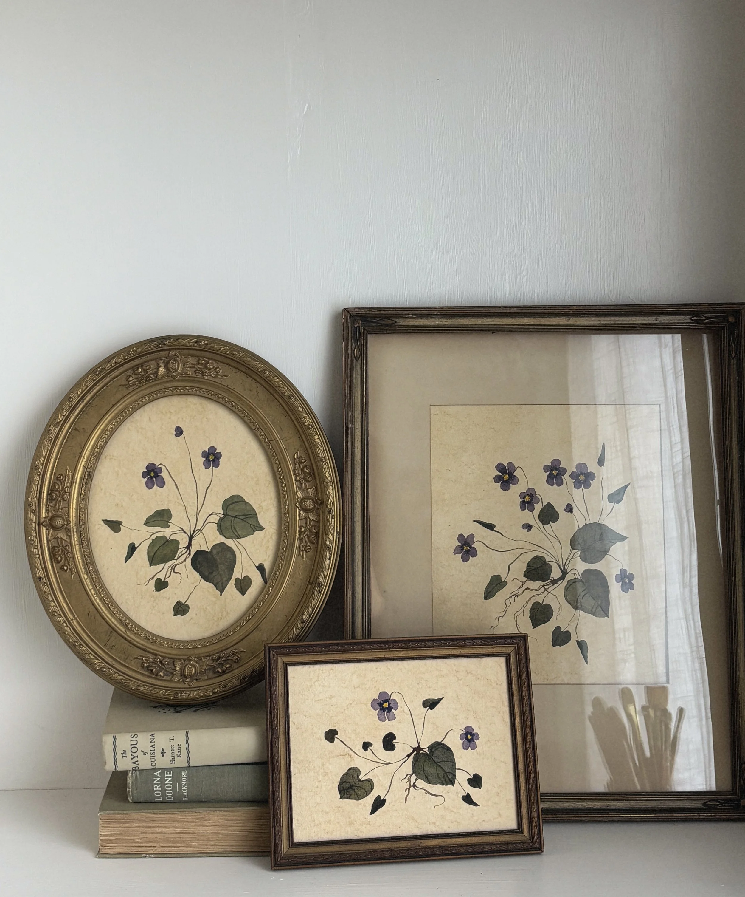 A collection of framed botanical paintings of violets, leaning against a wall on top of a stack of books.