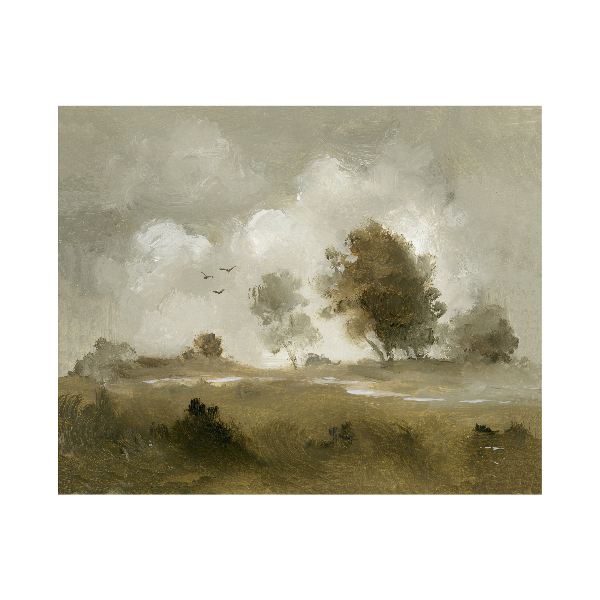 A quiet creek