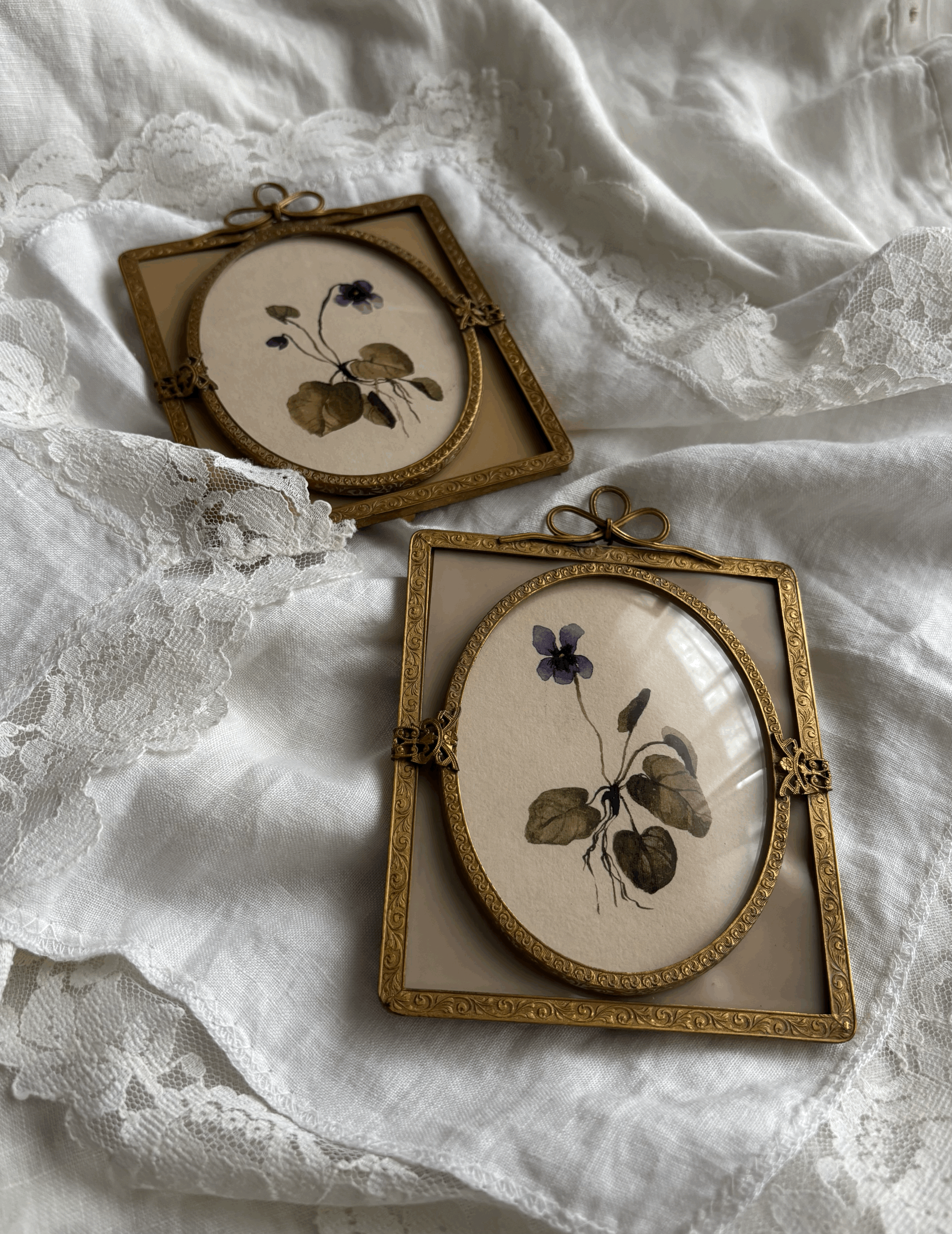 Set of violets