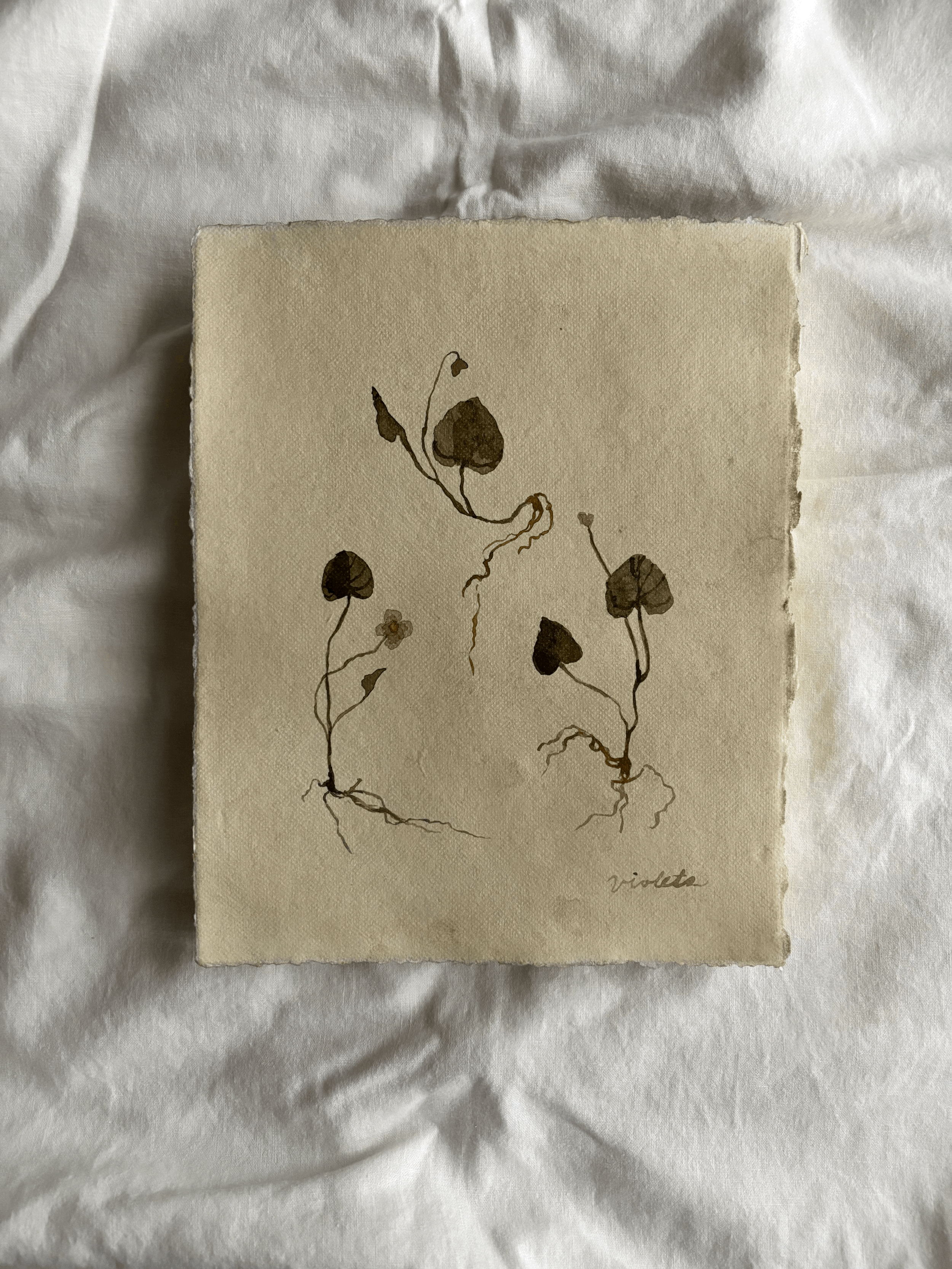 tempImagegijkq1.gif