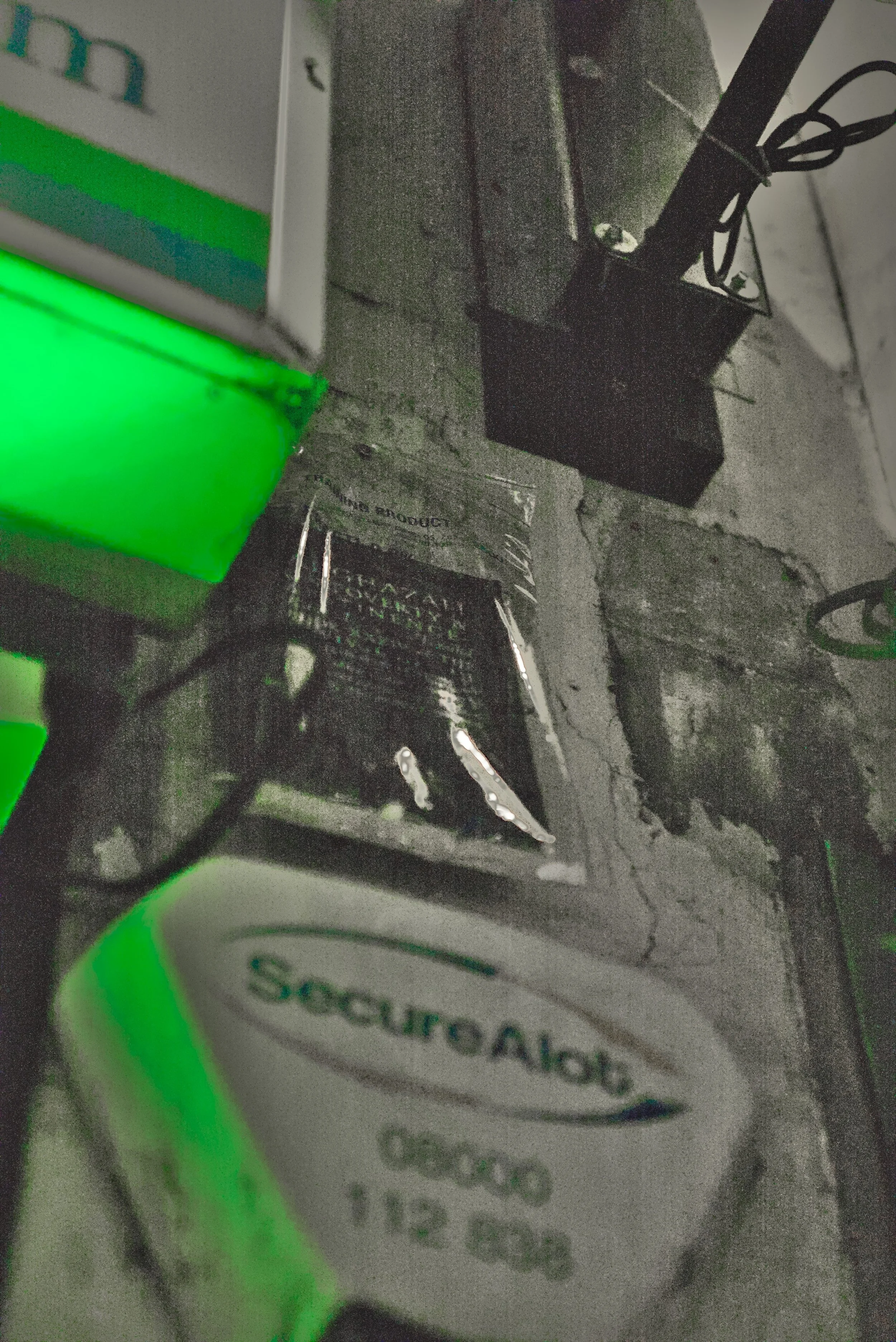 DSC01928.jpg