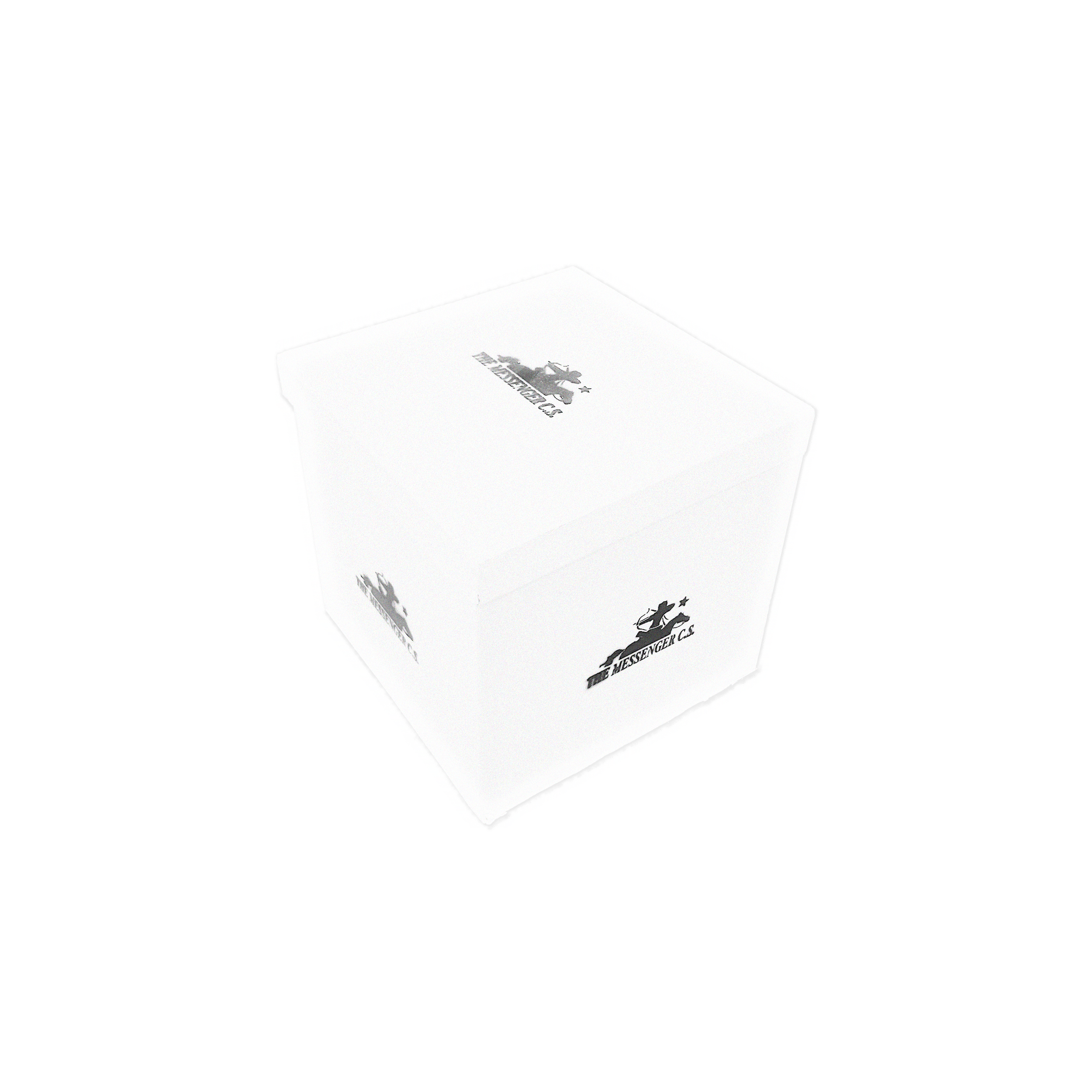 FG BOX 3D.png