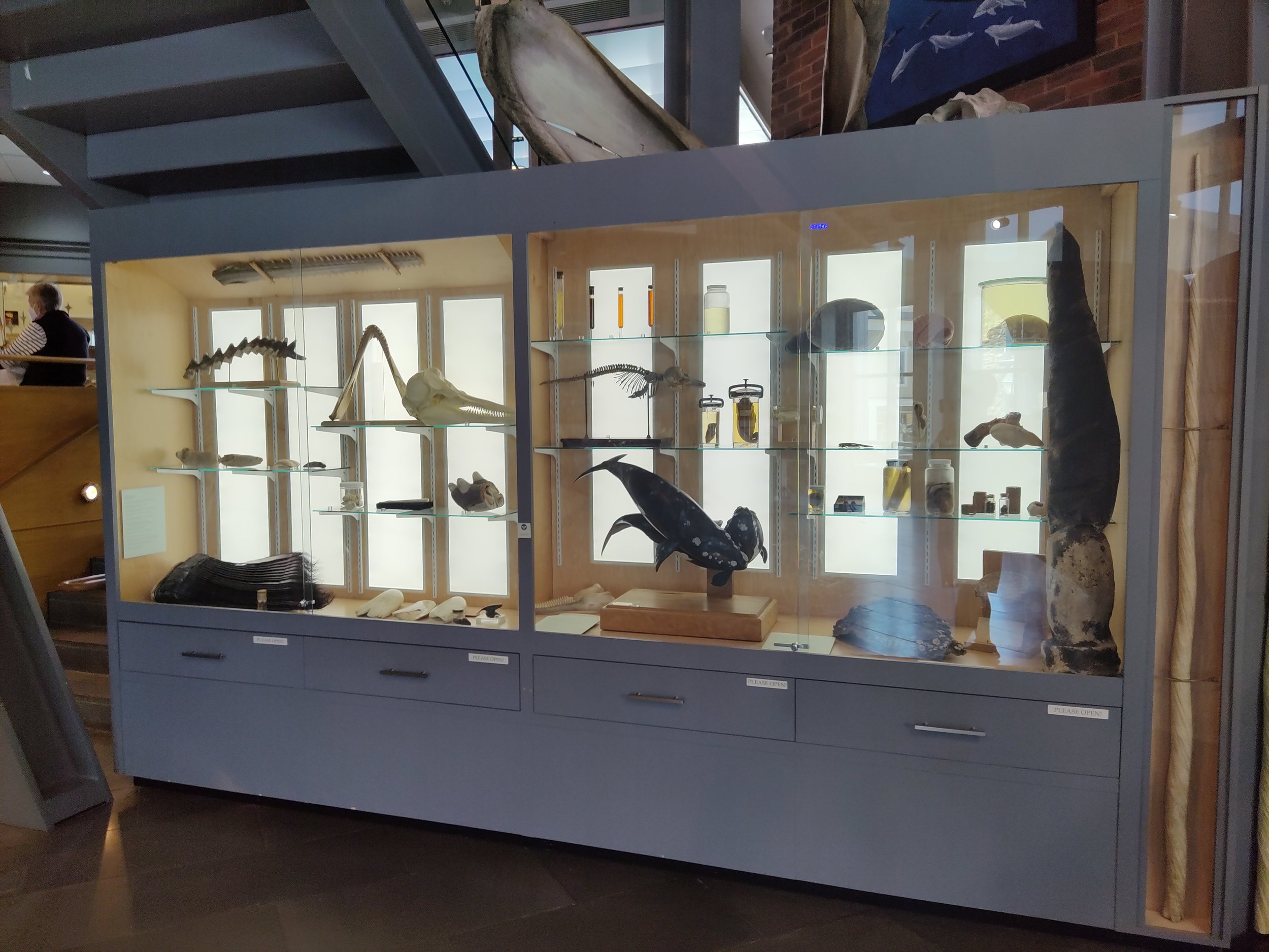 Collection.jpg
