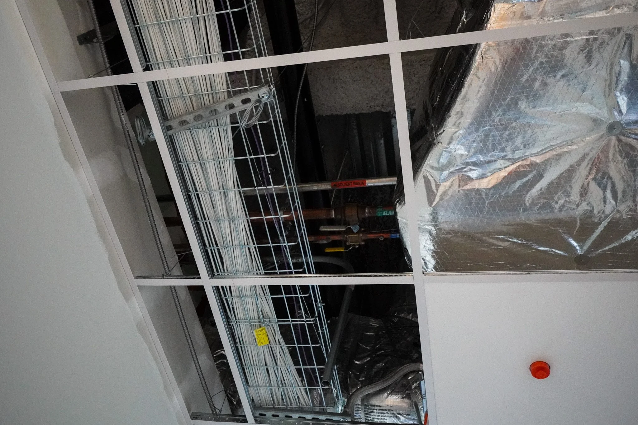 DSC08875-2.jpg