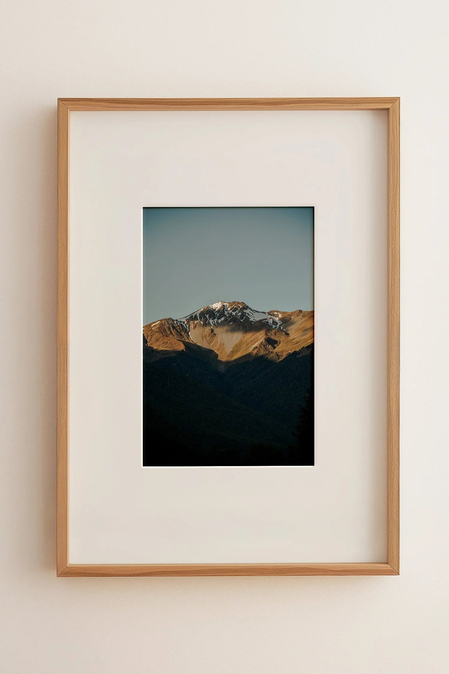 NZ S in frame.jpg