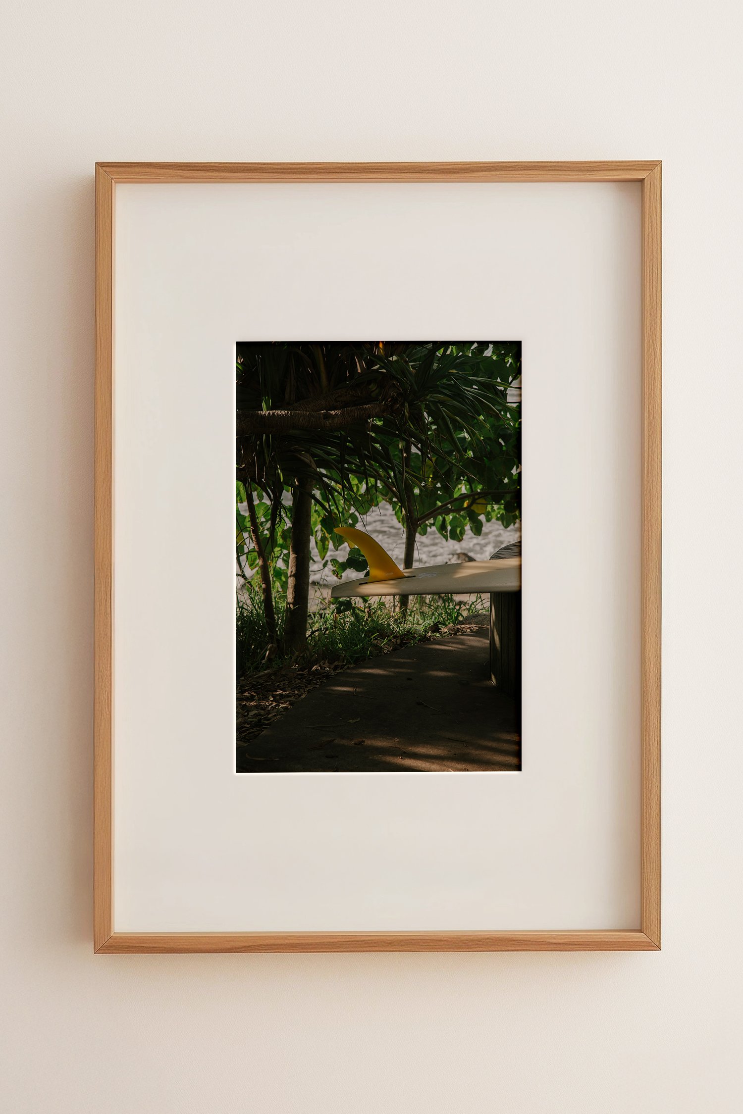 Fin S in frame.jpg