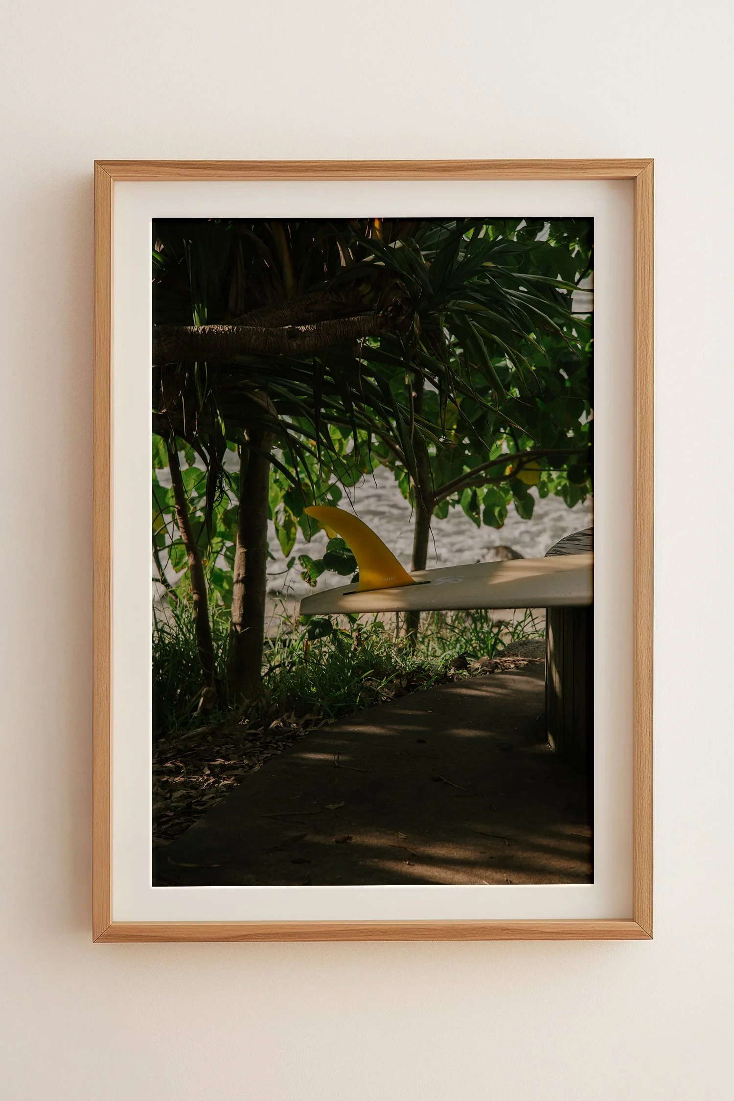 Noosa Heads | Fin