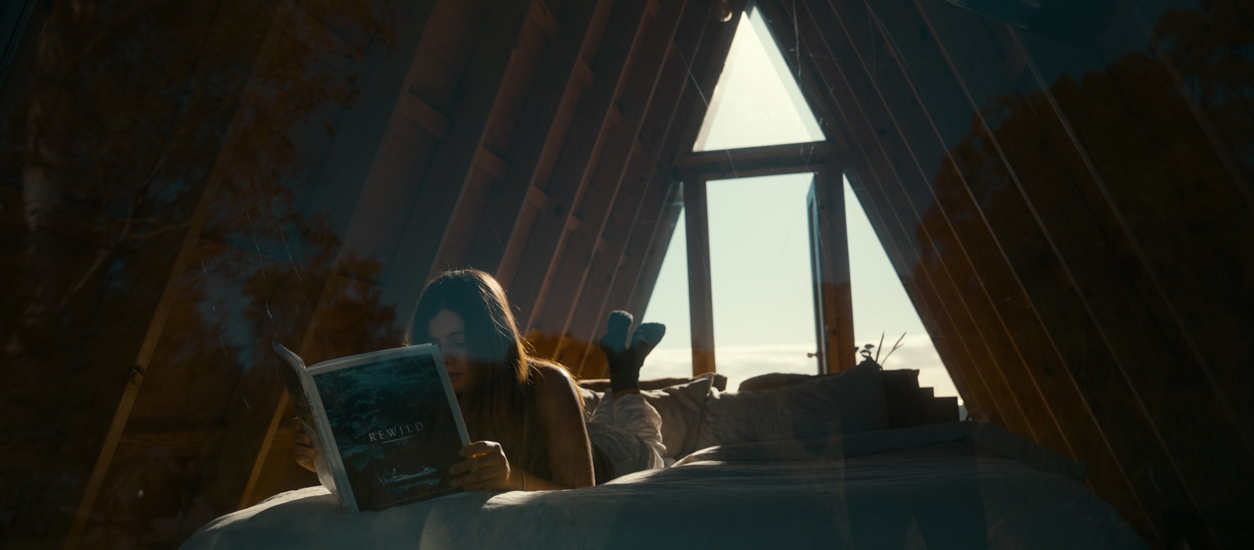 Screenshot 2025-09-09 at 2.41.03 pm.jpg