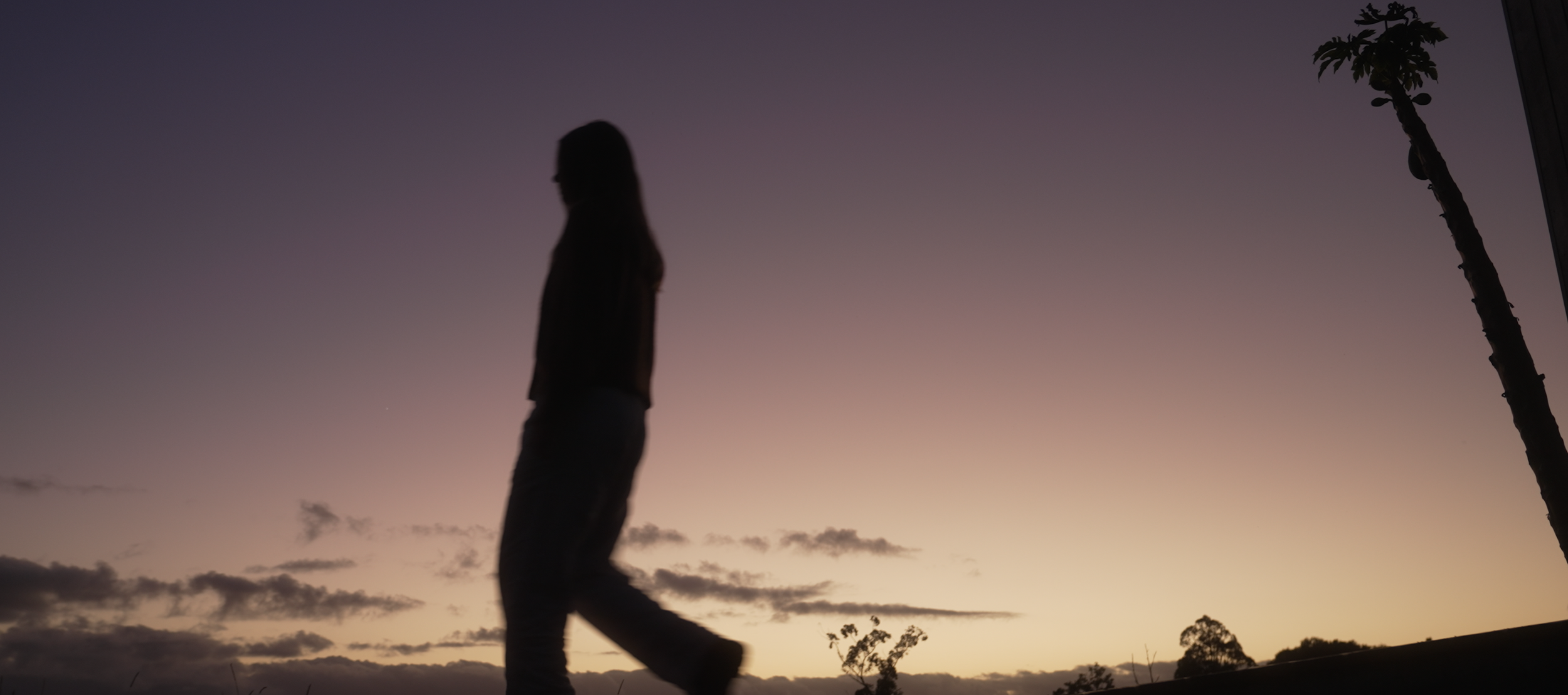 Screenshot 2025-09-19 at 2.46.27 pm.png