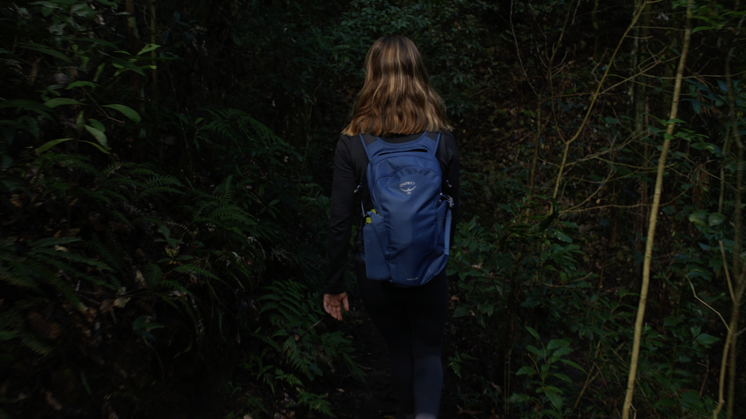 Screenshot 2025-03-29 at 10.36.29 am.png