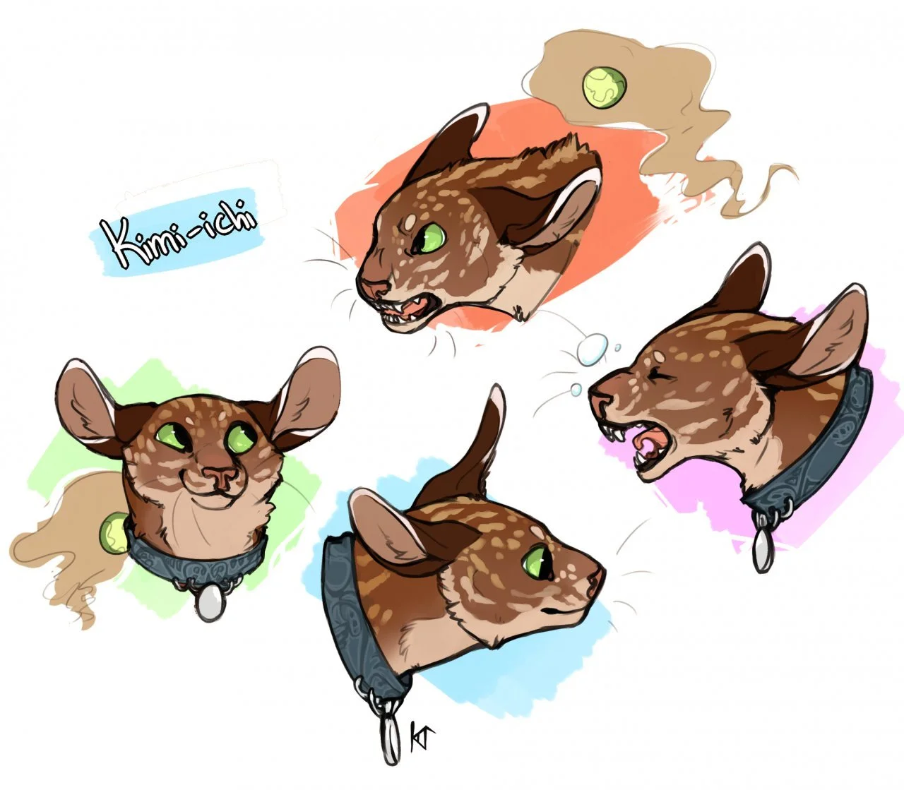 Kimi-ichi.coalui_spottyagain (1).png