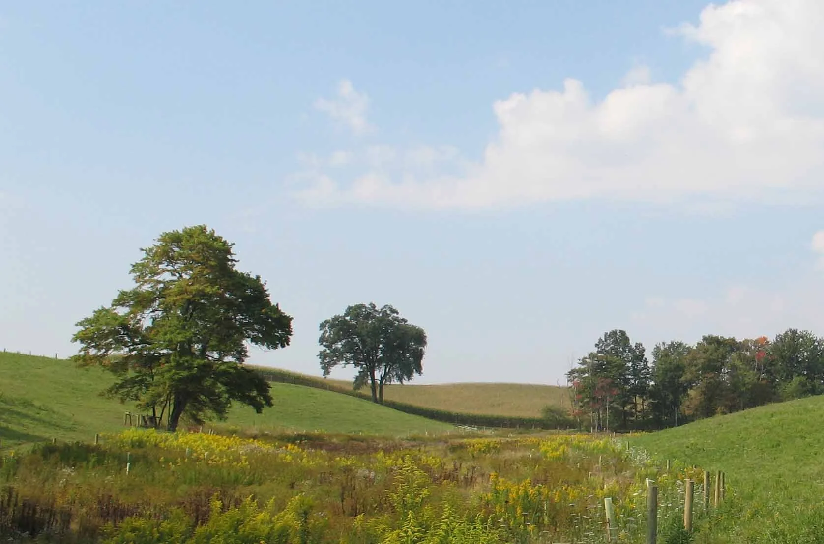 Maryland’s Conservation Reserve Enhancement Program (CREP)