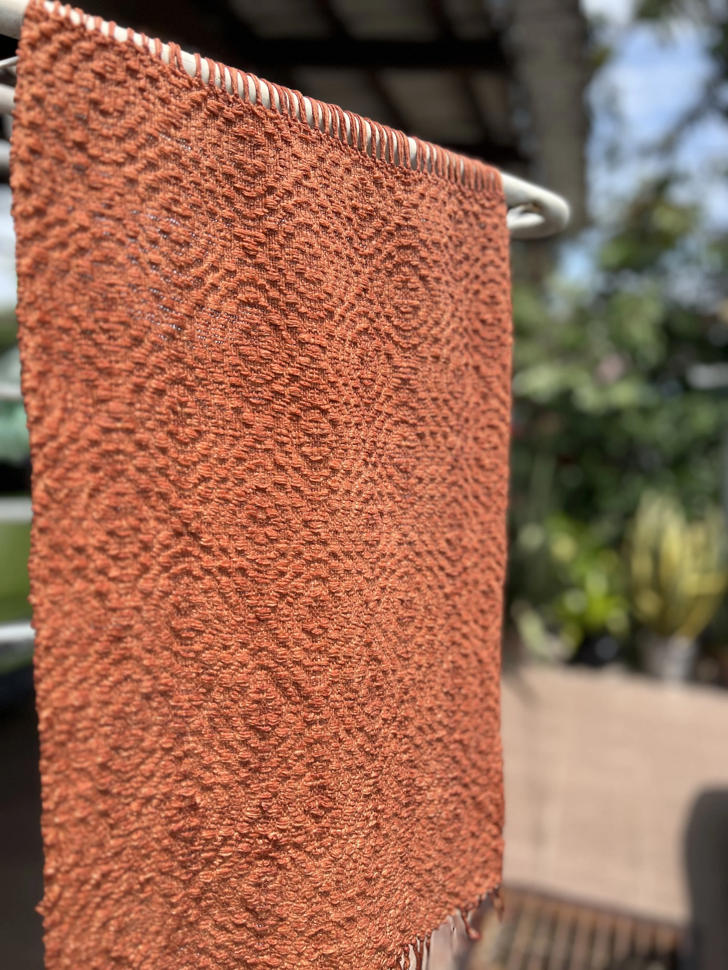 In Two Minds: A persimmon Journey