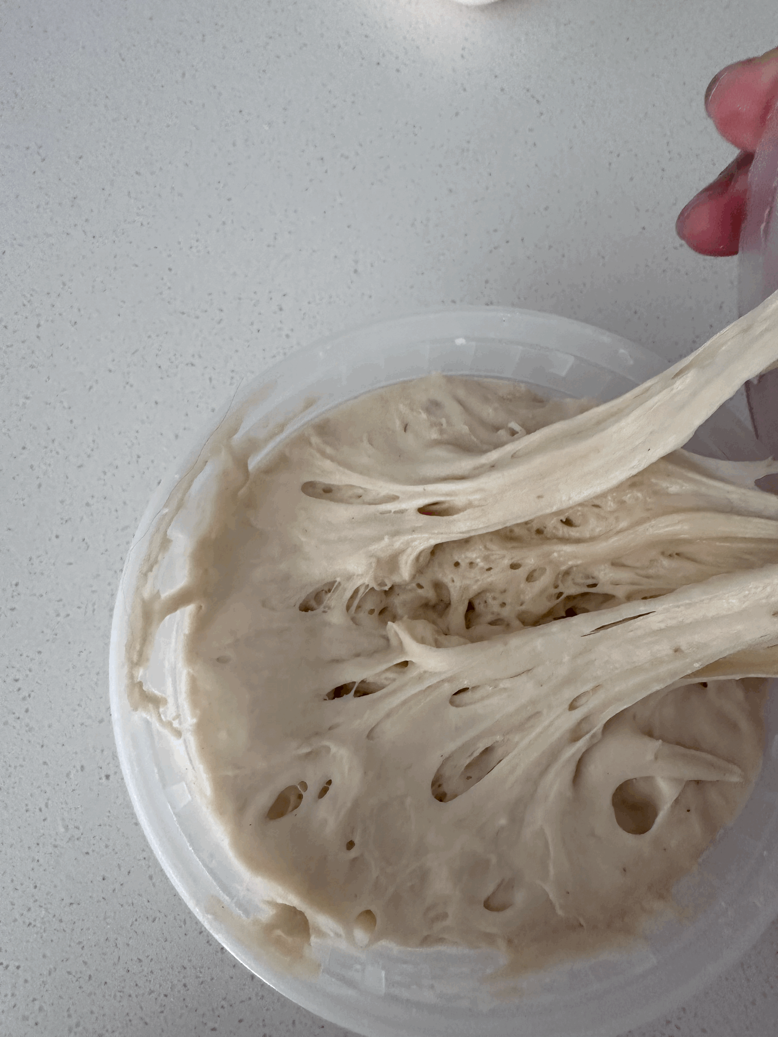 LIEVITO MADRE FROM RAISIN WATER — STEP-BY-STEP 