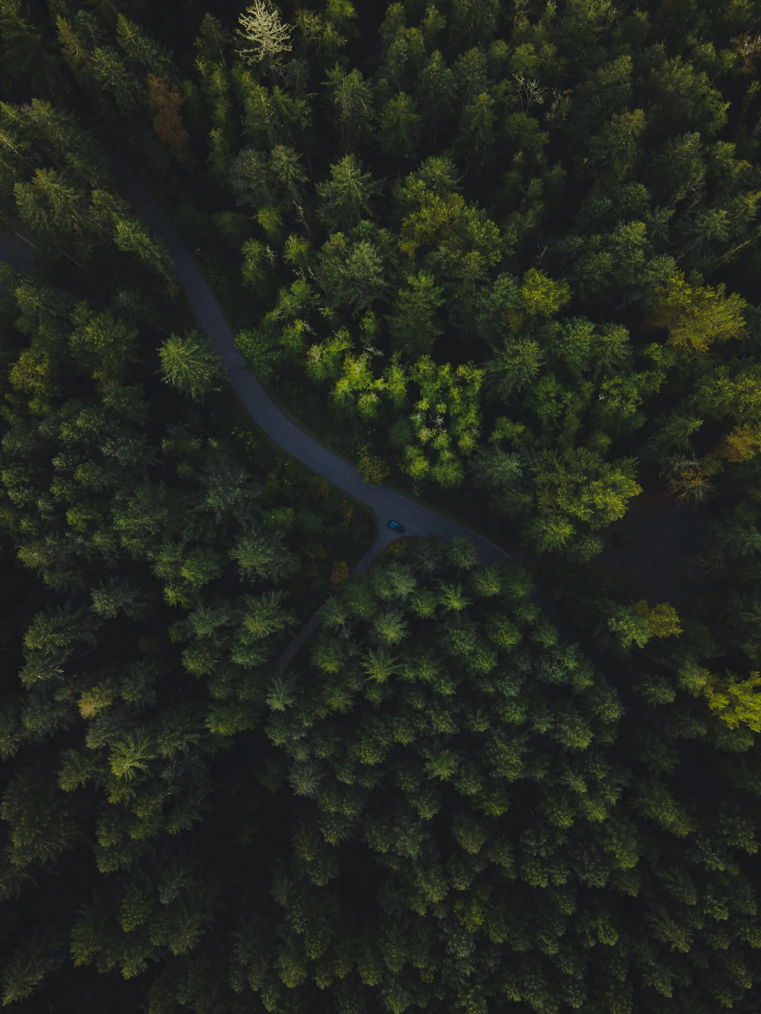 DJI_0241.jpg