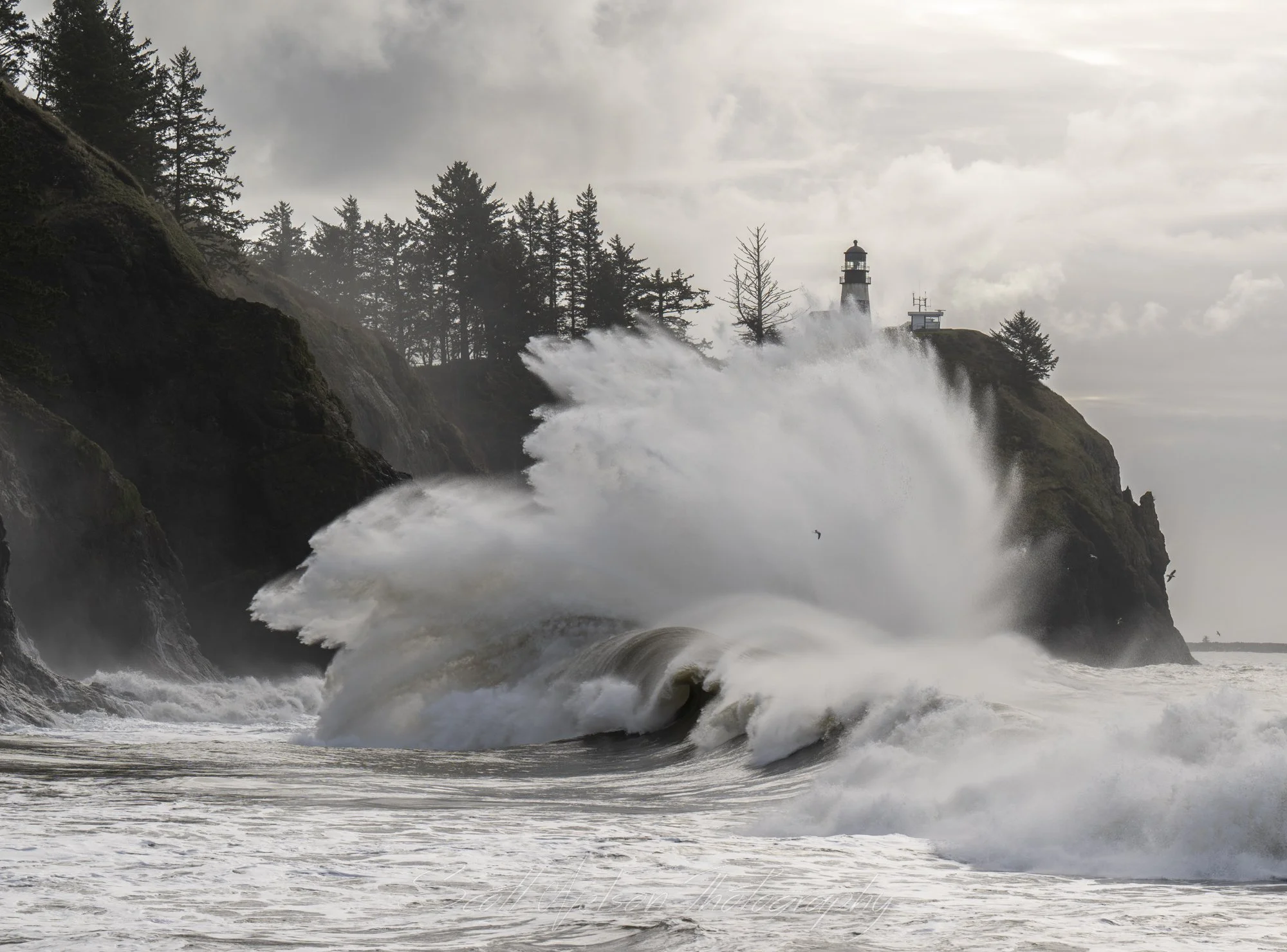 Photography and My Expectations