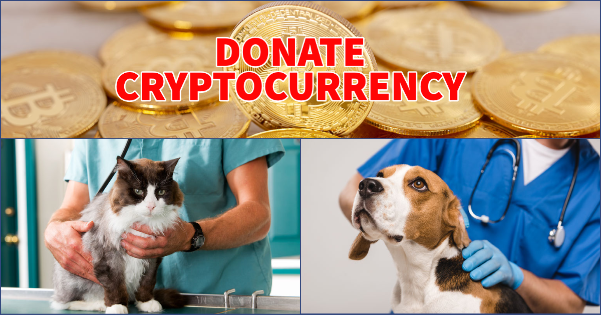 Donate your Cryptocurrency to save pets in need of emergency veterinary