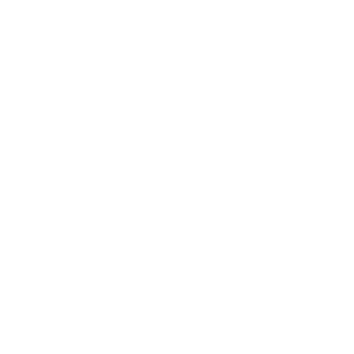 Megan Stoisits Coaching