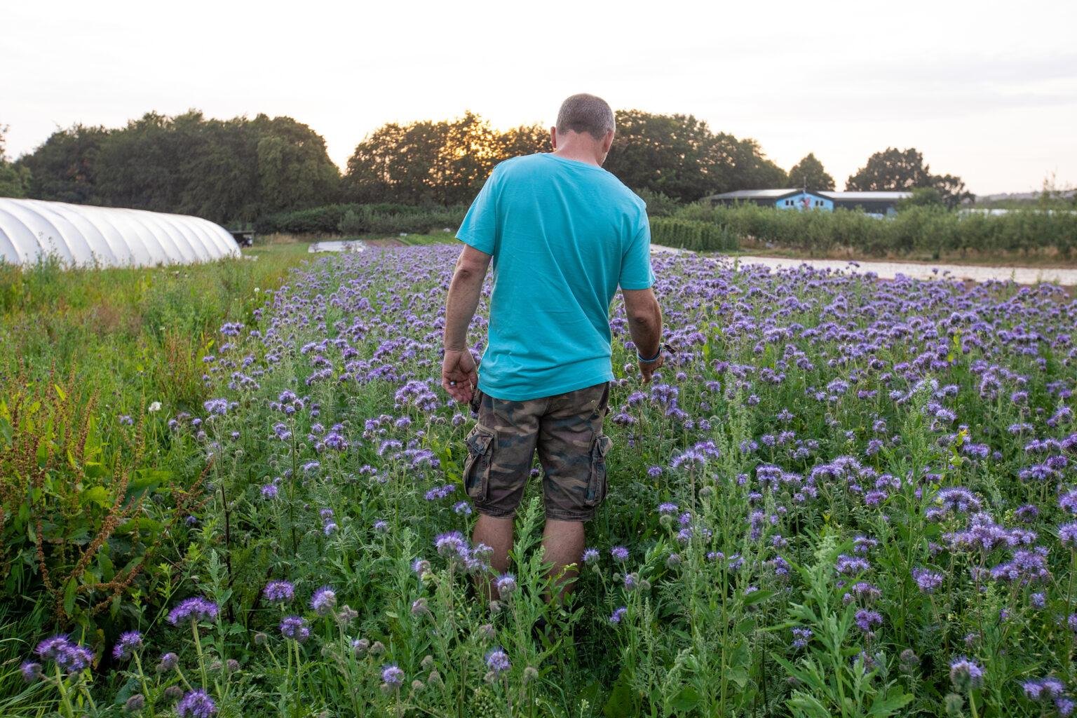 Music, Food, Farming &amp; the Season Ahead