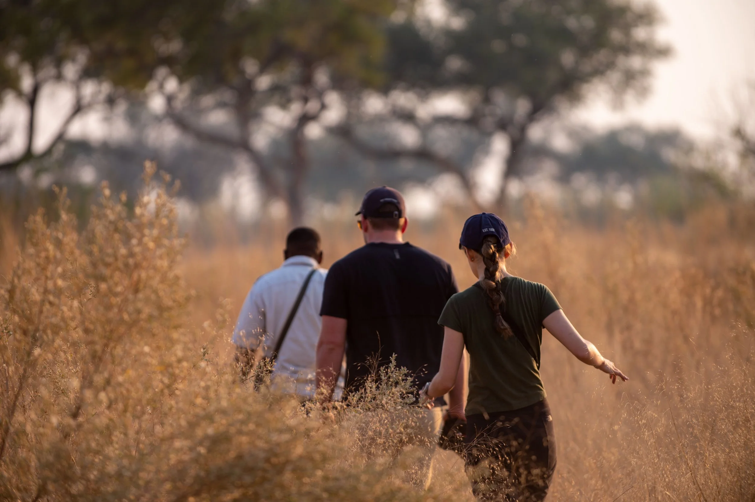 The Art Of Tracking In The Okavango Delta