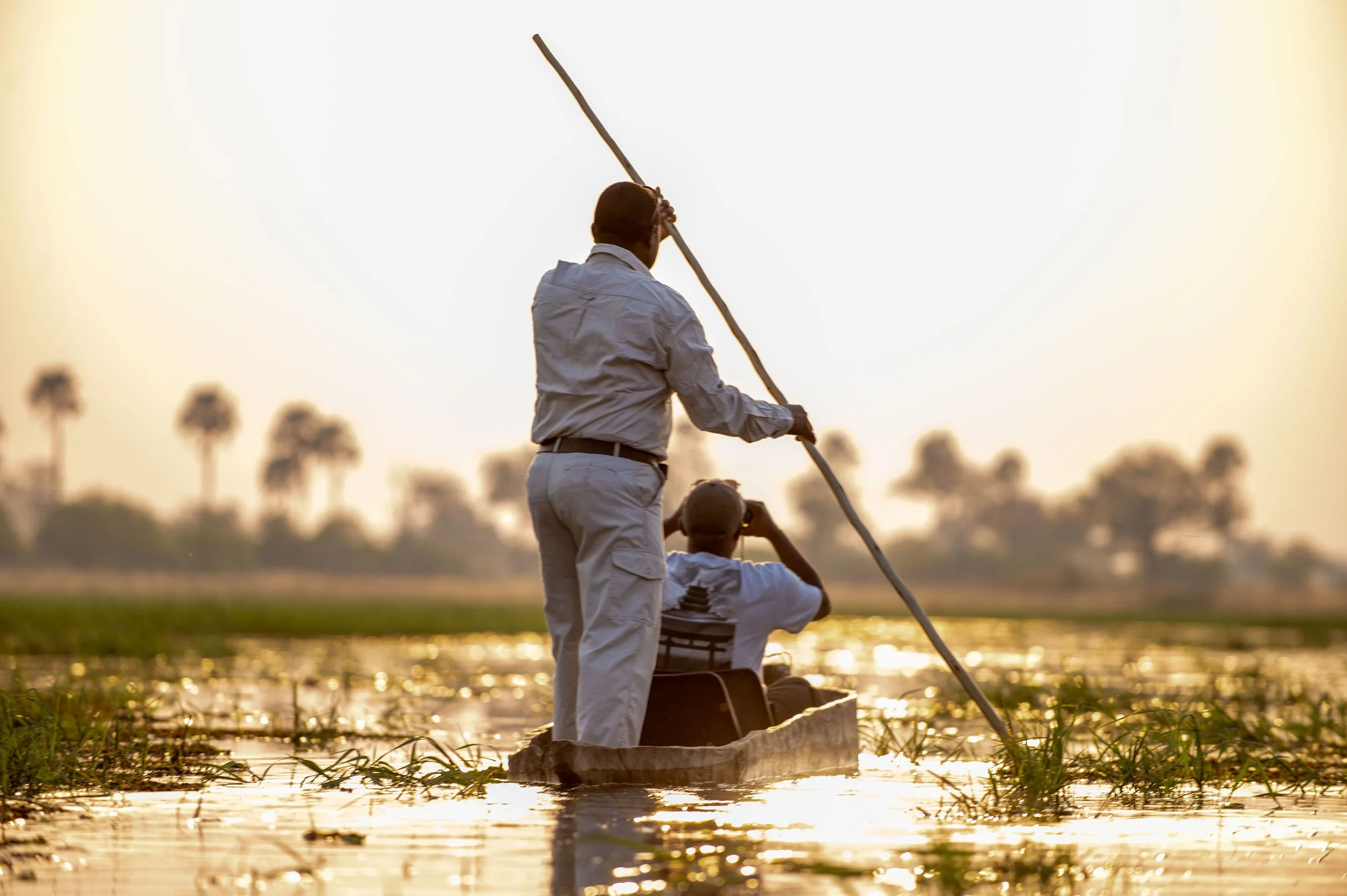 What Is A Mokoro Safari In The Okavango Delta?