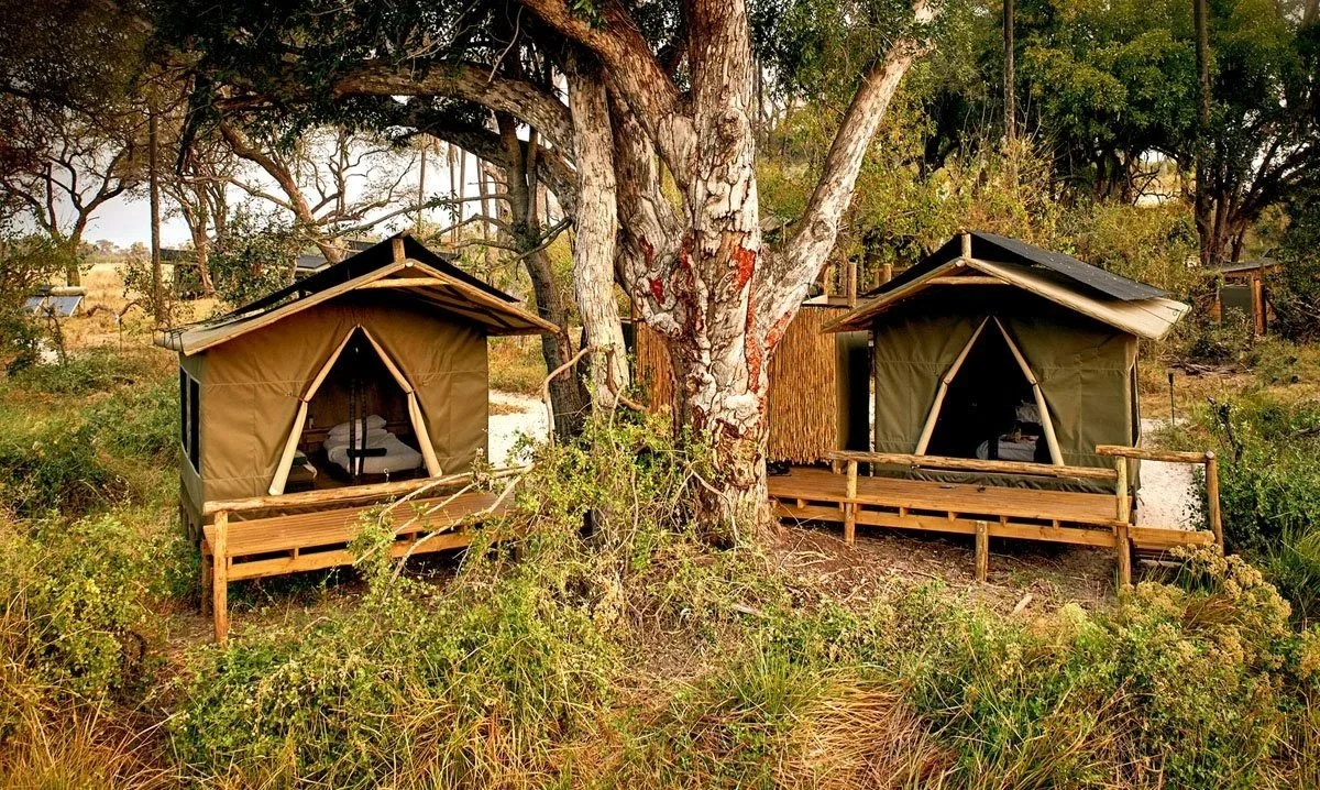 Oddballs' Camp, The Okavango, Unplugged&nbsp;