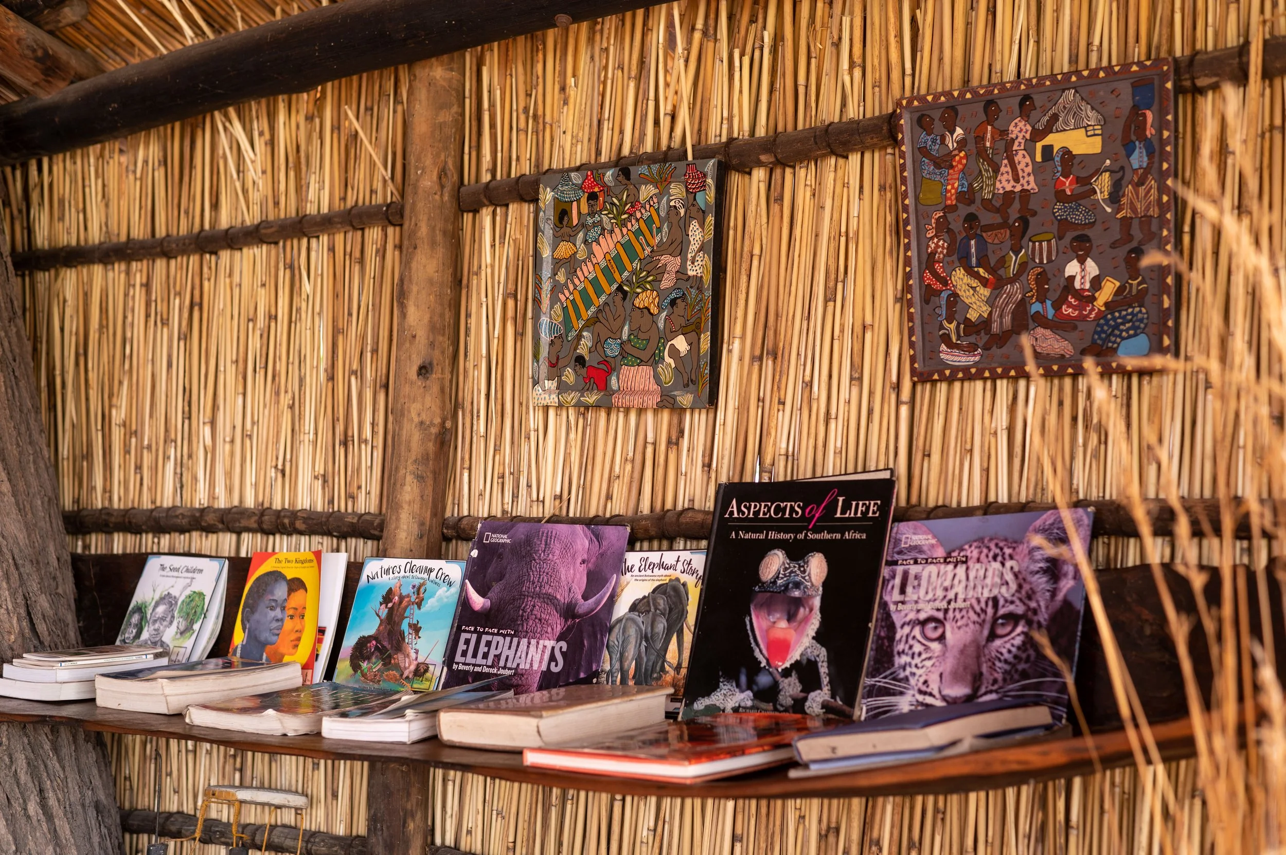 Oddballs books