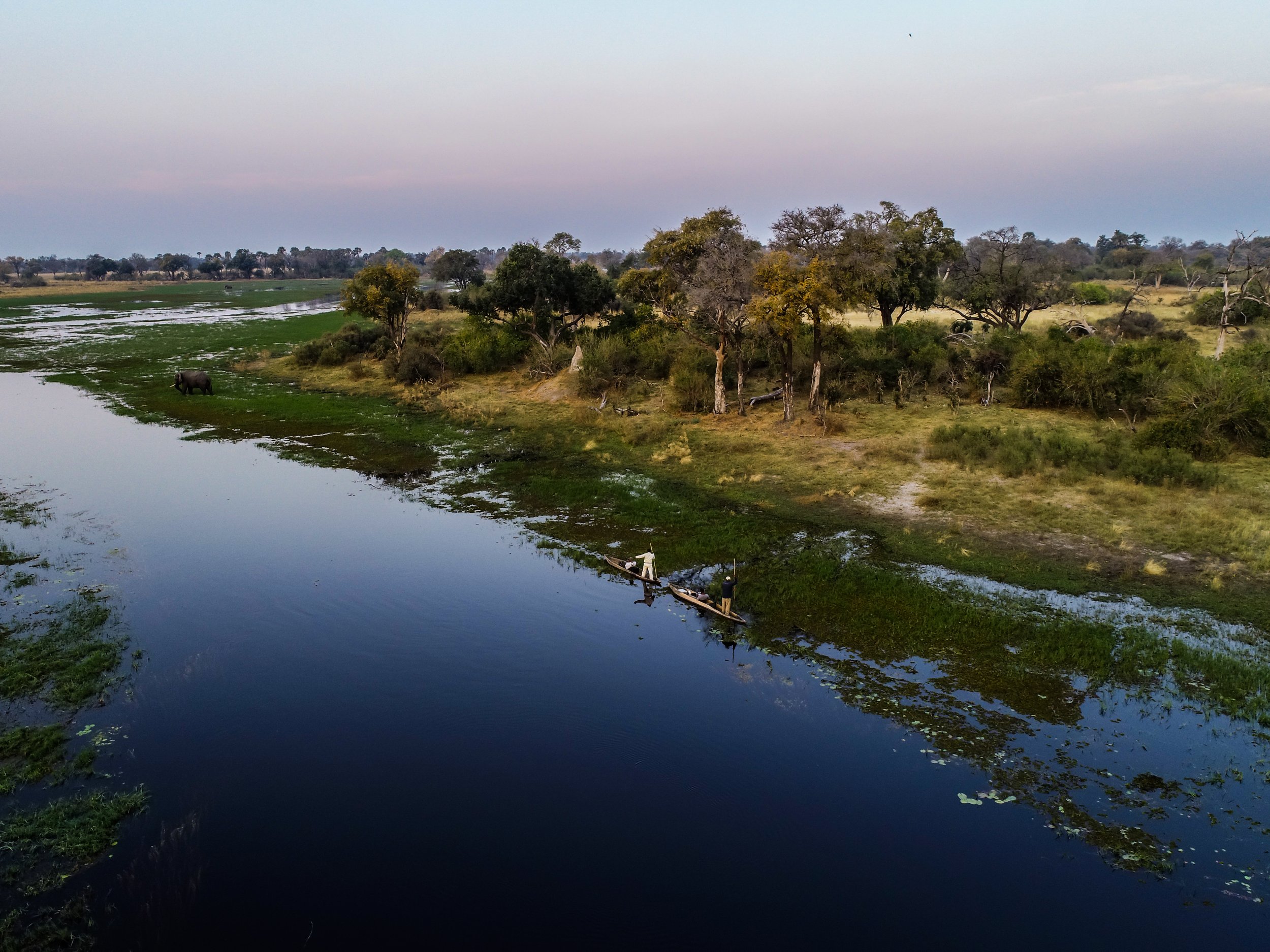 Mokoro on delta drone footage