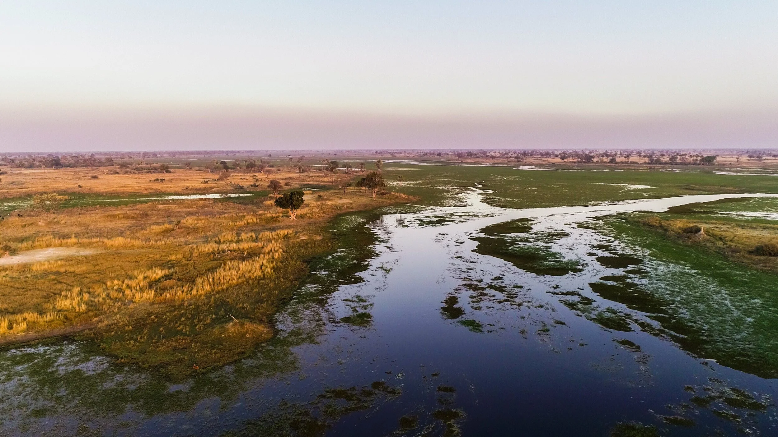 Arial photo looking across the okavango delta horizonngo delta