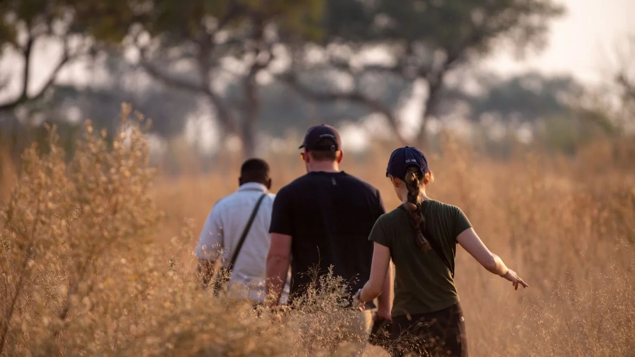 Group doing a walking safari
